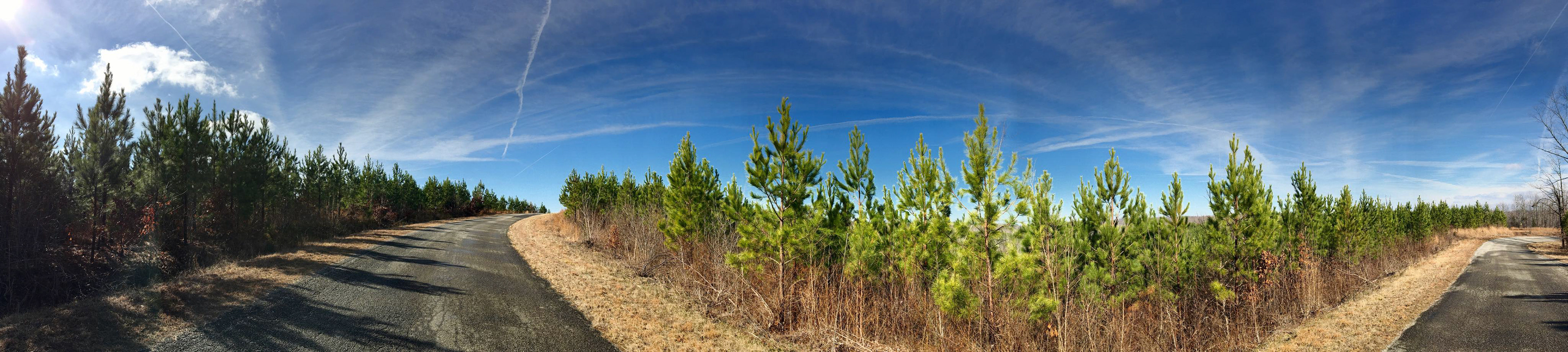 Old State Highway 20