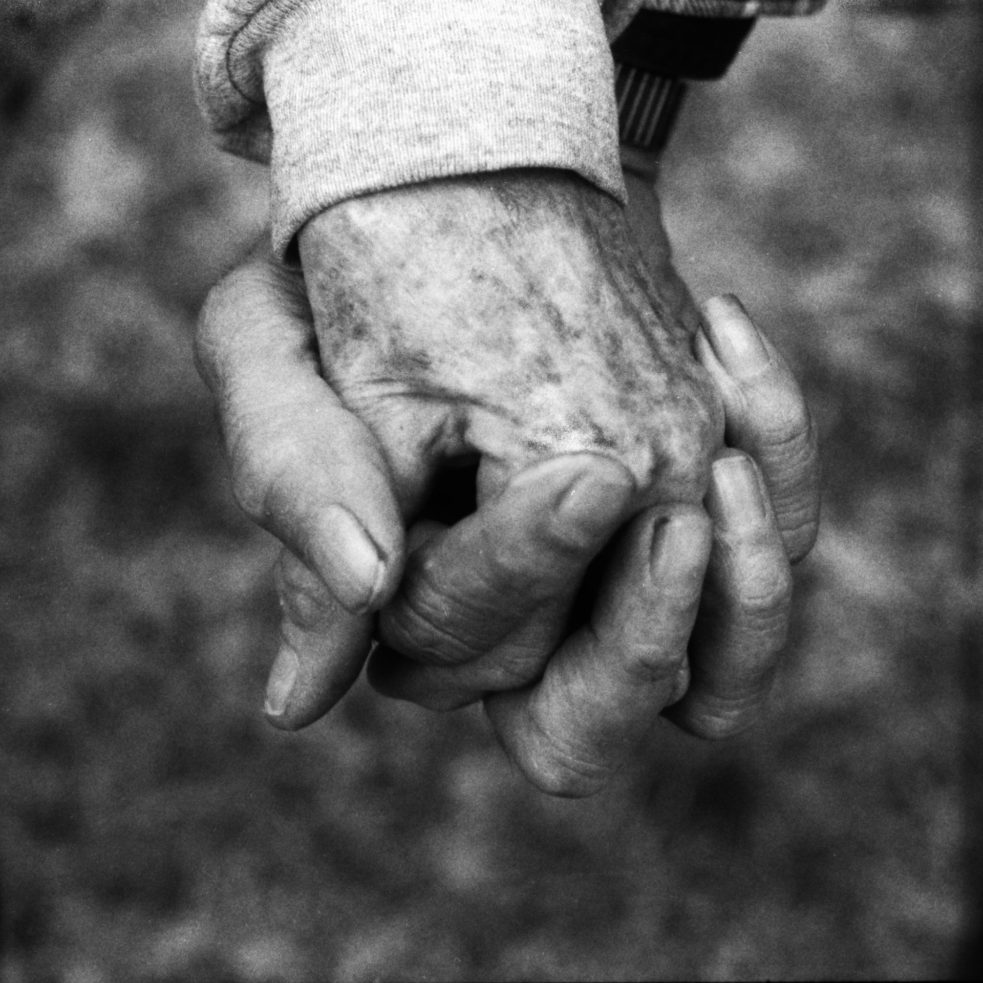 "Together"                                         
Diptych                                                                                                                    2018