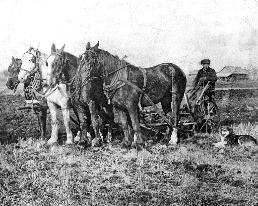 Circa 1920: Onufrie (Frank) Shewchuk: Famiy farm northeast of Willingdon, AB.