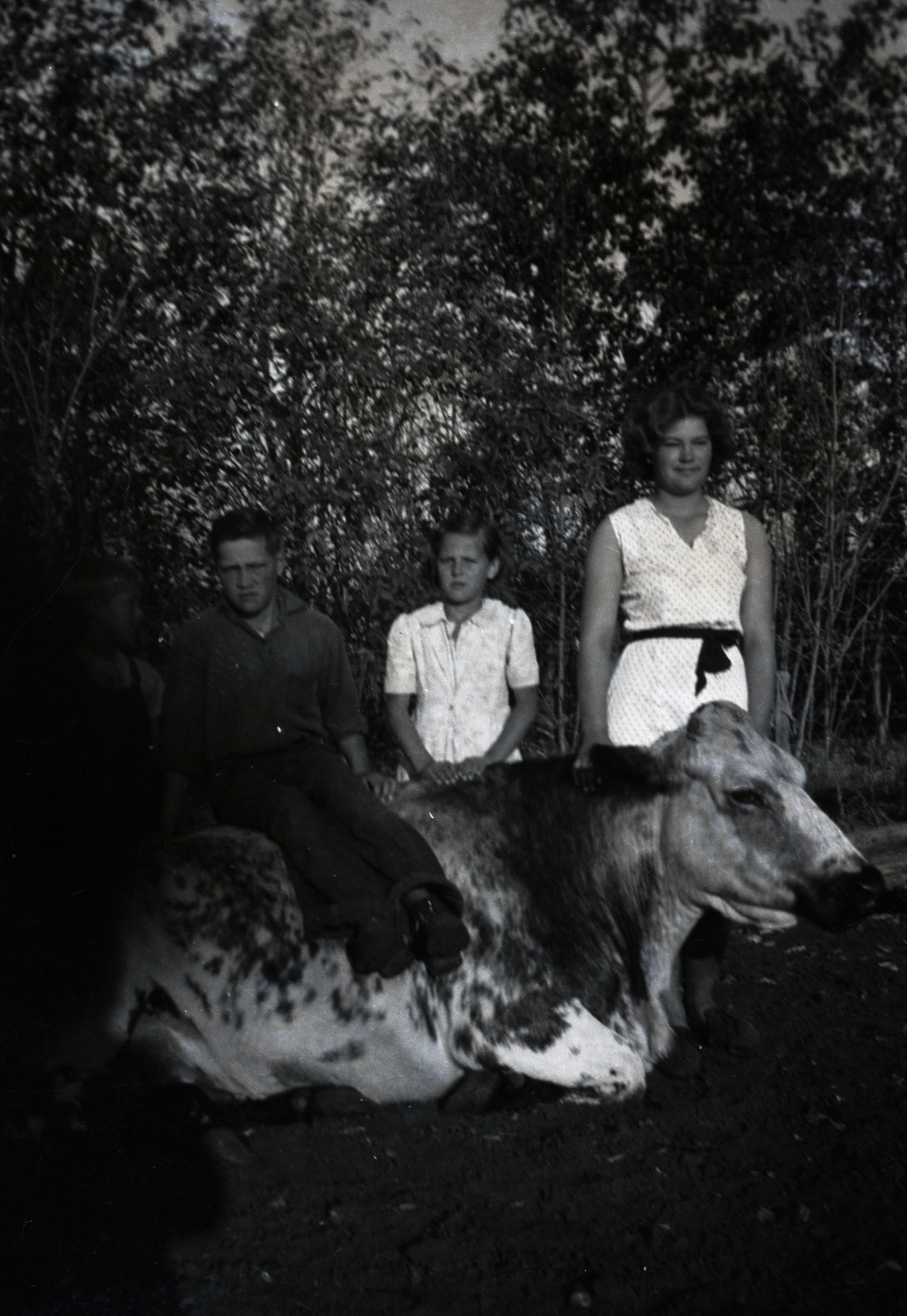 BEFORE Circa1936 •  Mike and Christina Shewchuk children