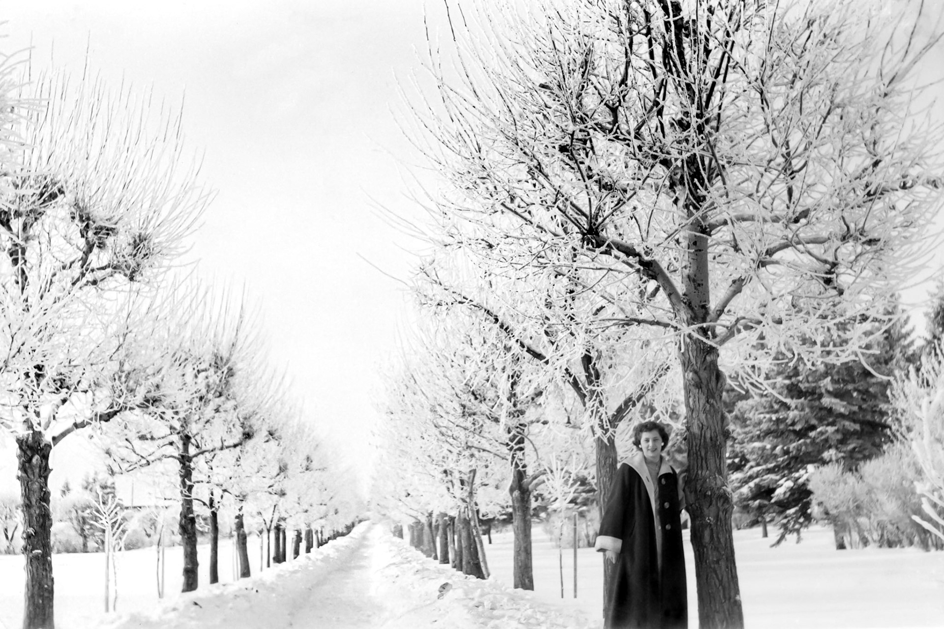January 1956: when Kathleen [Shewchuk] Huculak  worked up on Government Hill in Edmonton. Taken along the walk to the Provincial Parliament Building.