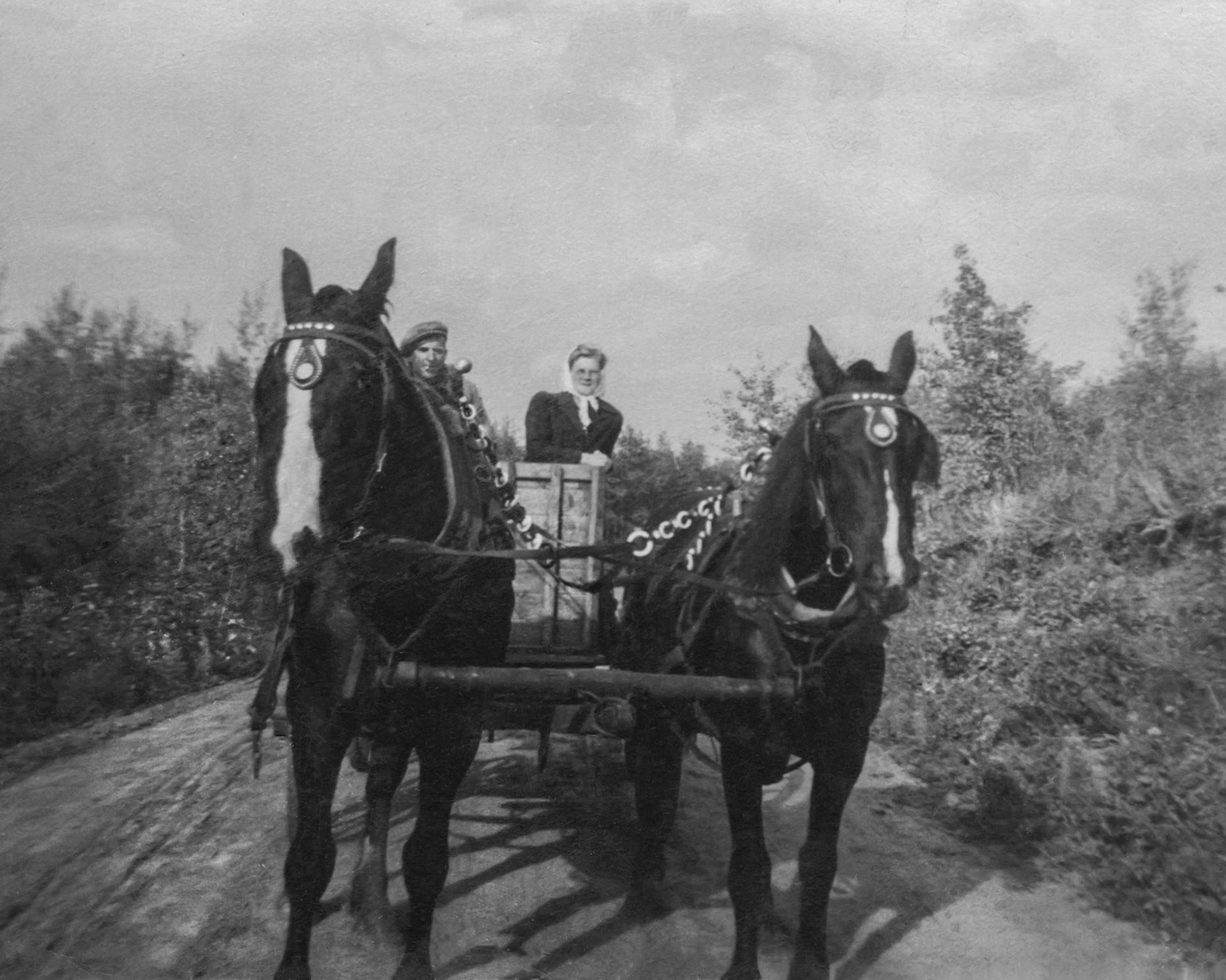 Circa 1947~1950; John Huculak SR driving his team (Lady and Birdie) with daughter Doris [Huculak] Davey