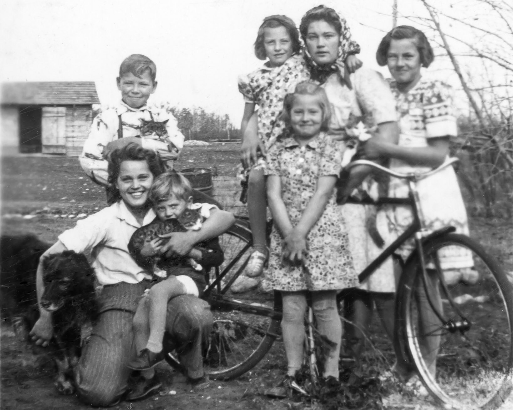Oct 1941 • Photos of most of the Shewchuk family (plus 2 friends) on the family farm near Willingdon, AB. Eleanor (kneeling, 17) - Kathleen (standing front center, 7) - Nettie (eldest standing rear center, 19) - Lena (far right, 12). -male standing rear with cat, possibly Paul Shewchuk (10) - male foreground with cat unknown - female to right of Nettie unknown.