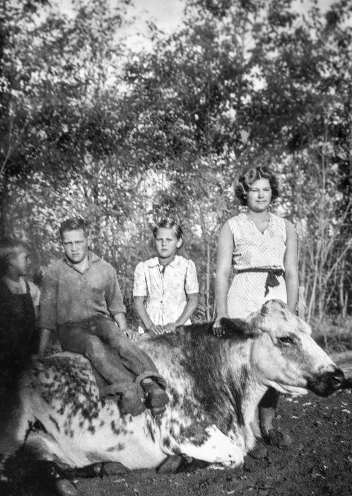 AFTER Circa1936 •  Mike and Christina Shewchuk children L to R -  Paul (5) background left - Steve (11) - Lena (7) - Nettie (14). Family farm near WIllingdon, Alberta.