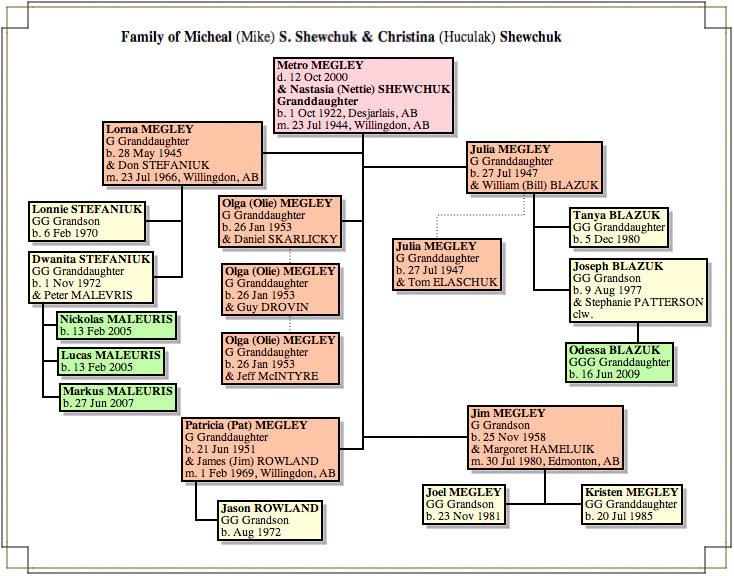 Metro Megley+Nettie [Shewchuk] Megley Family Chart