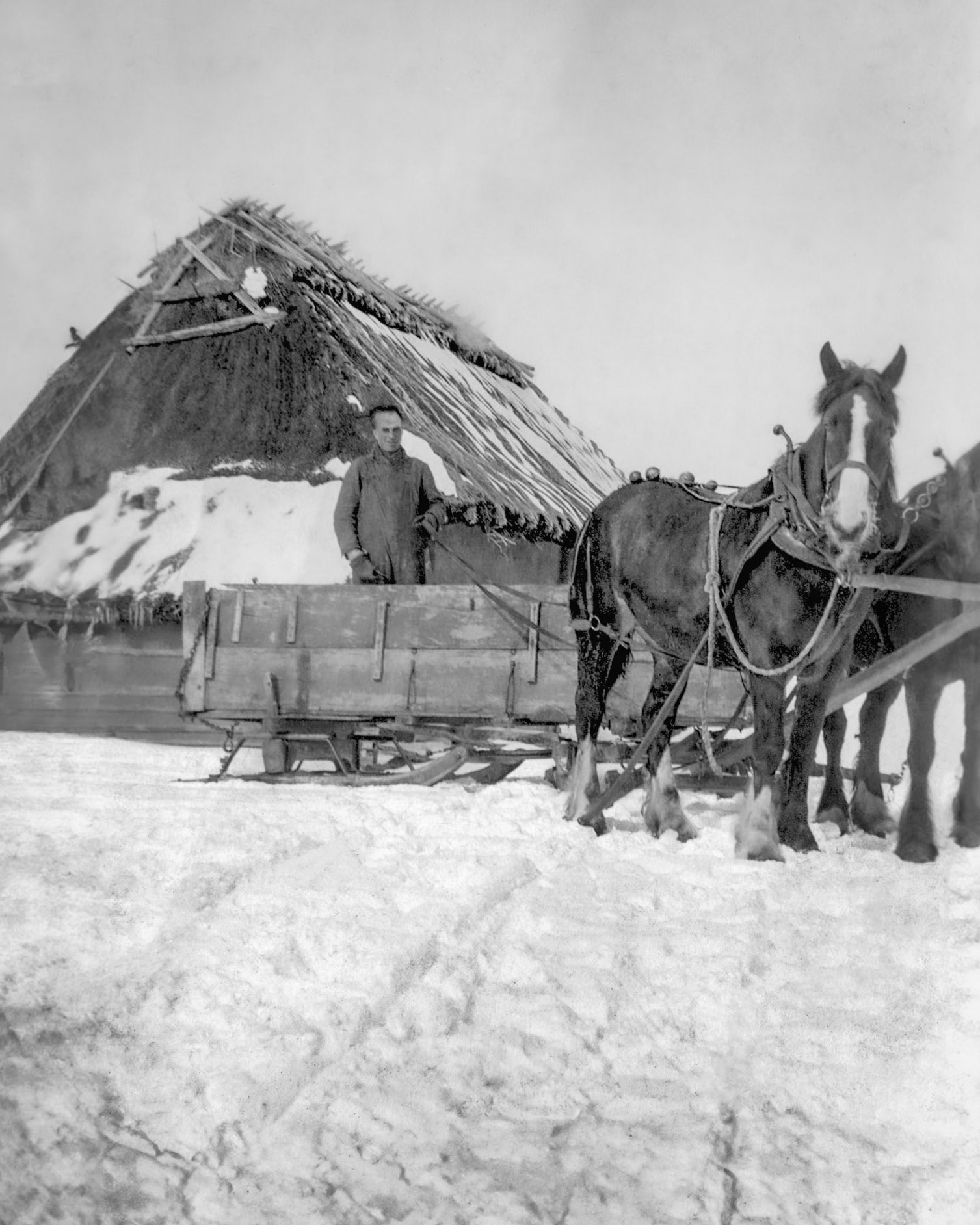1918: Ivan Fedorak at Stefan Shewchuk homestead northwest of Willingdon, Alberta