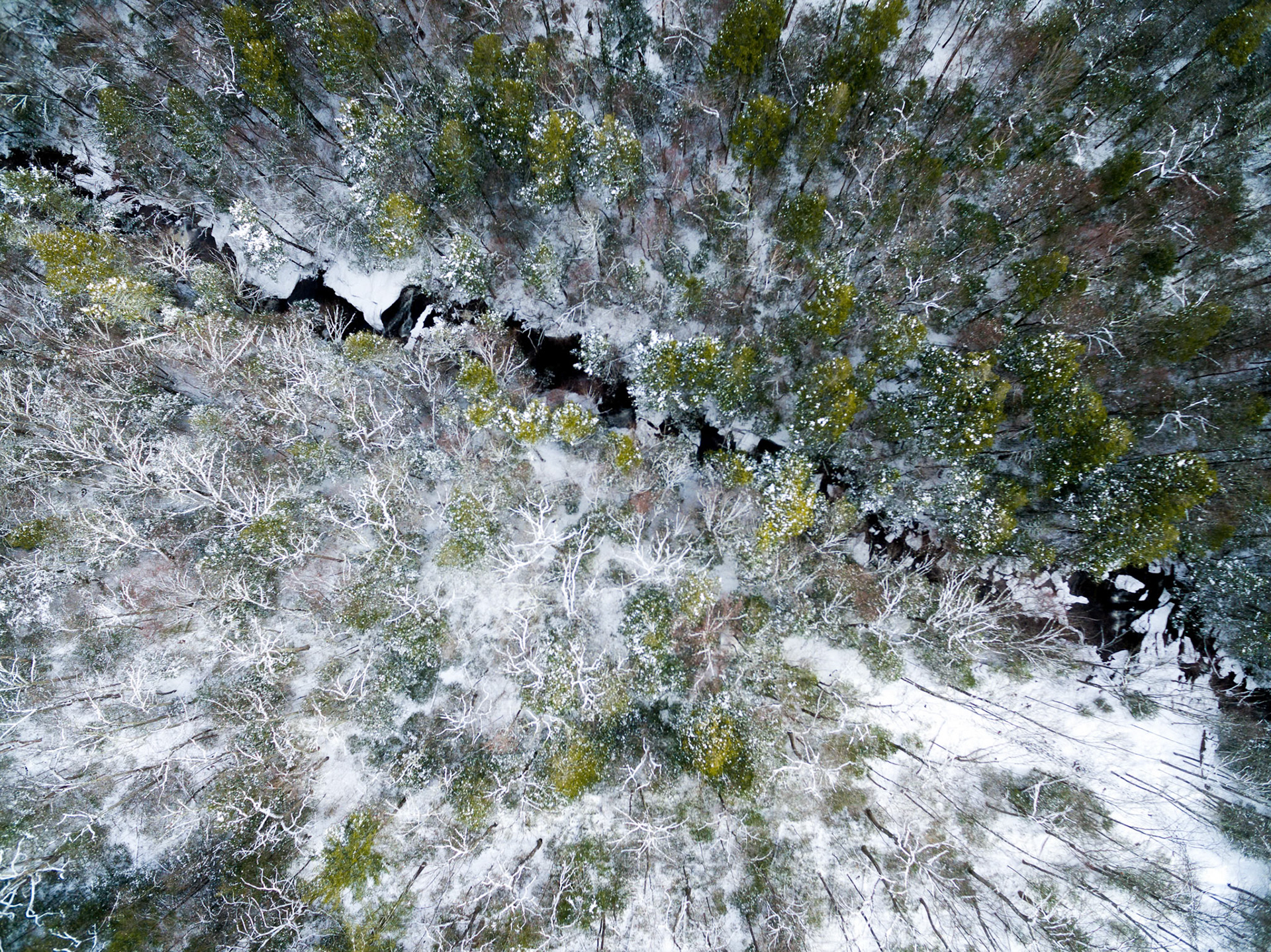 Aerial drone photo of snow covered tree tops beneath a flowing river.