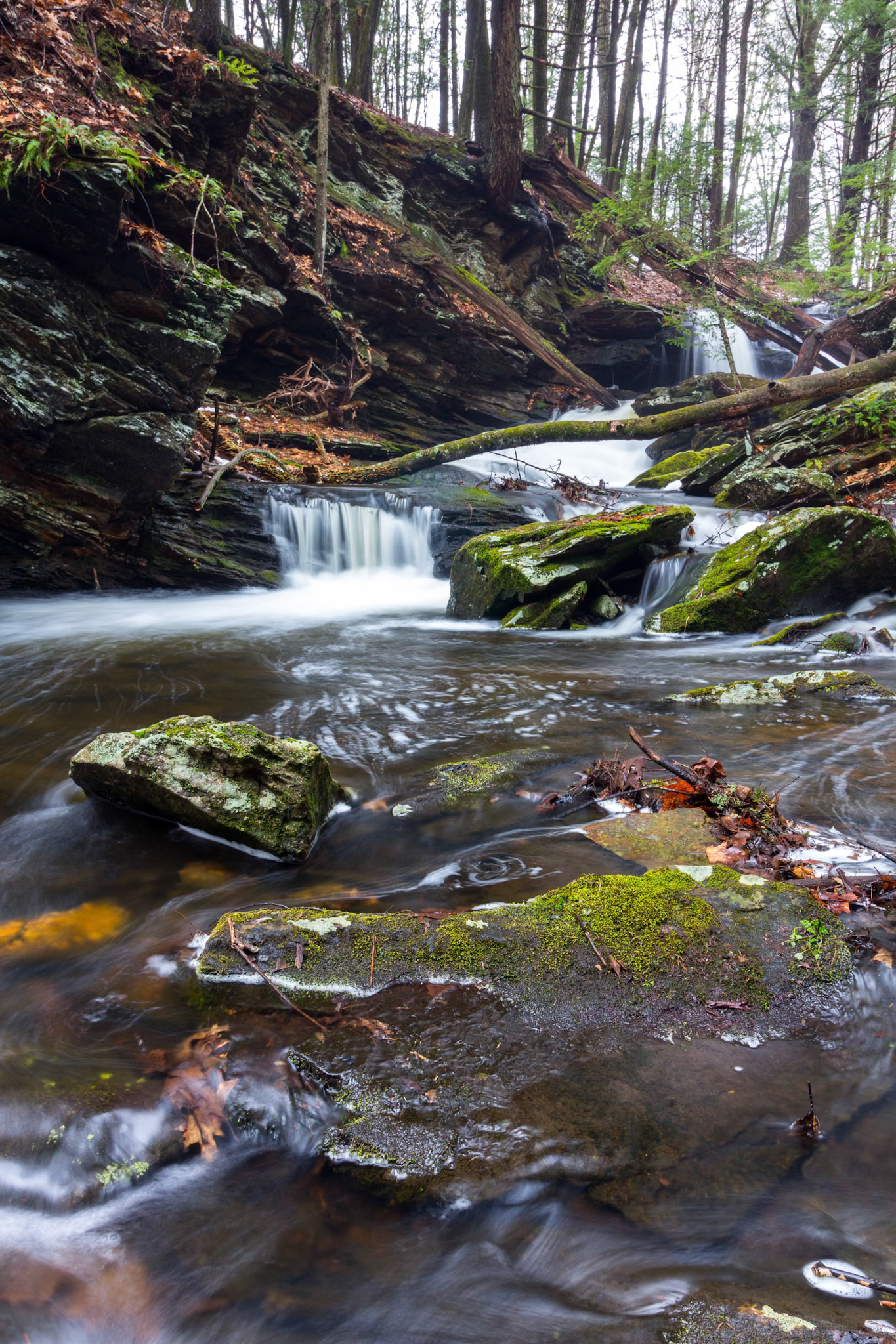 Long exposure of codfish falls in Storrs, CT.