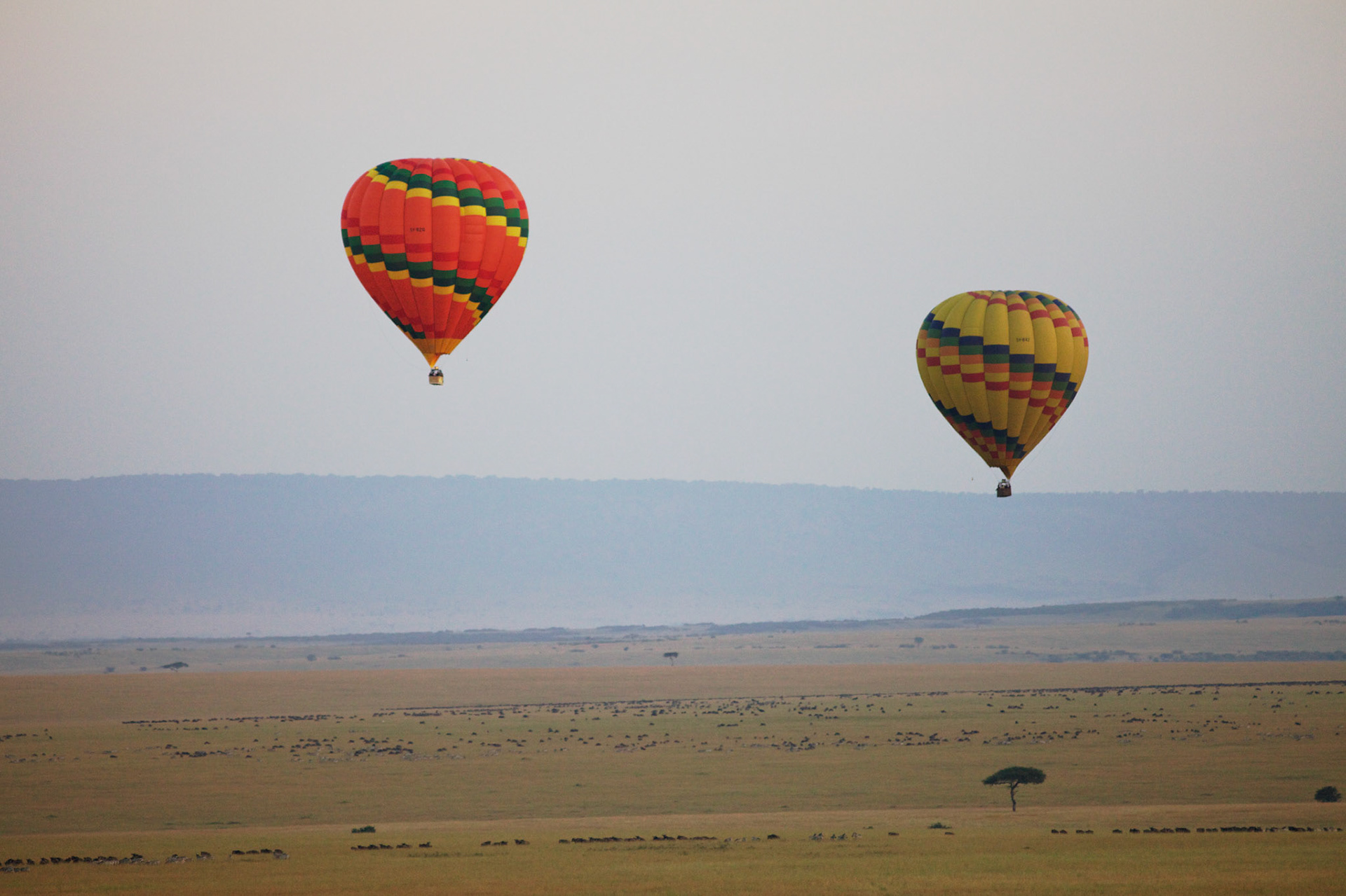 Balloon safari, Masai mara - Kenya