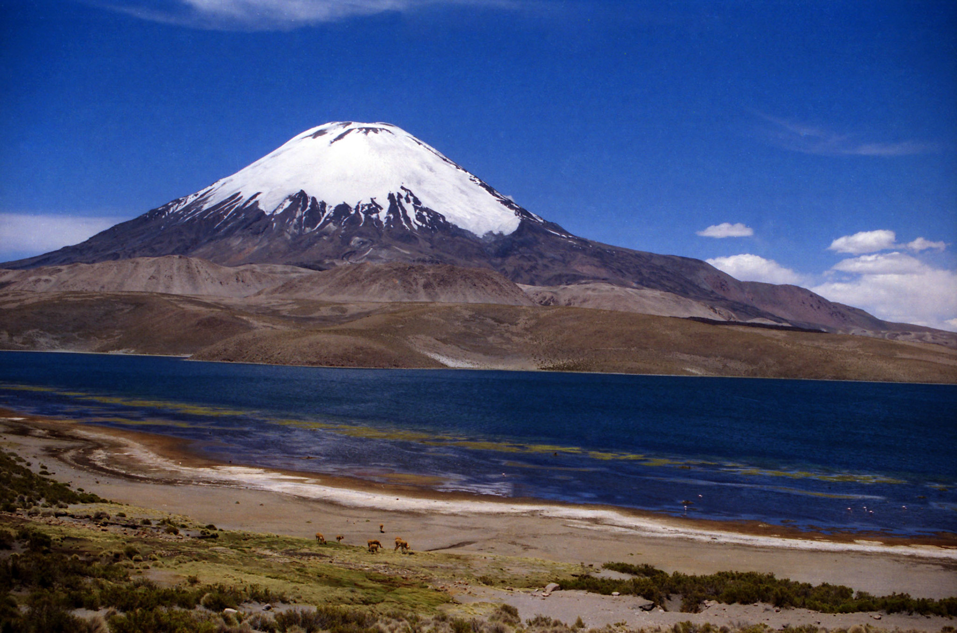 Lascar Volcano - Chile