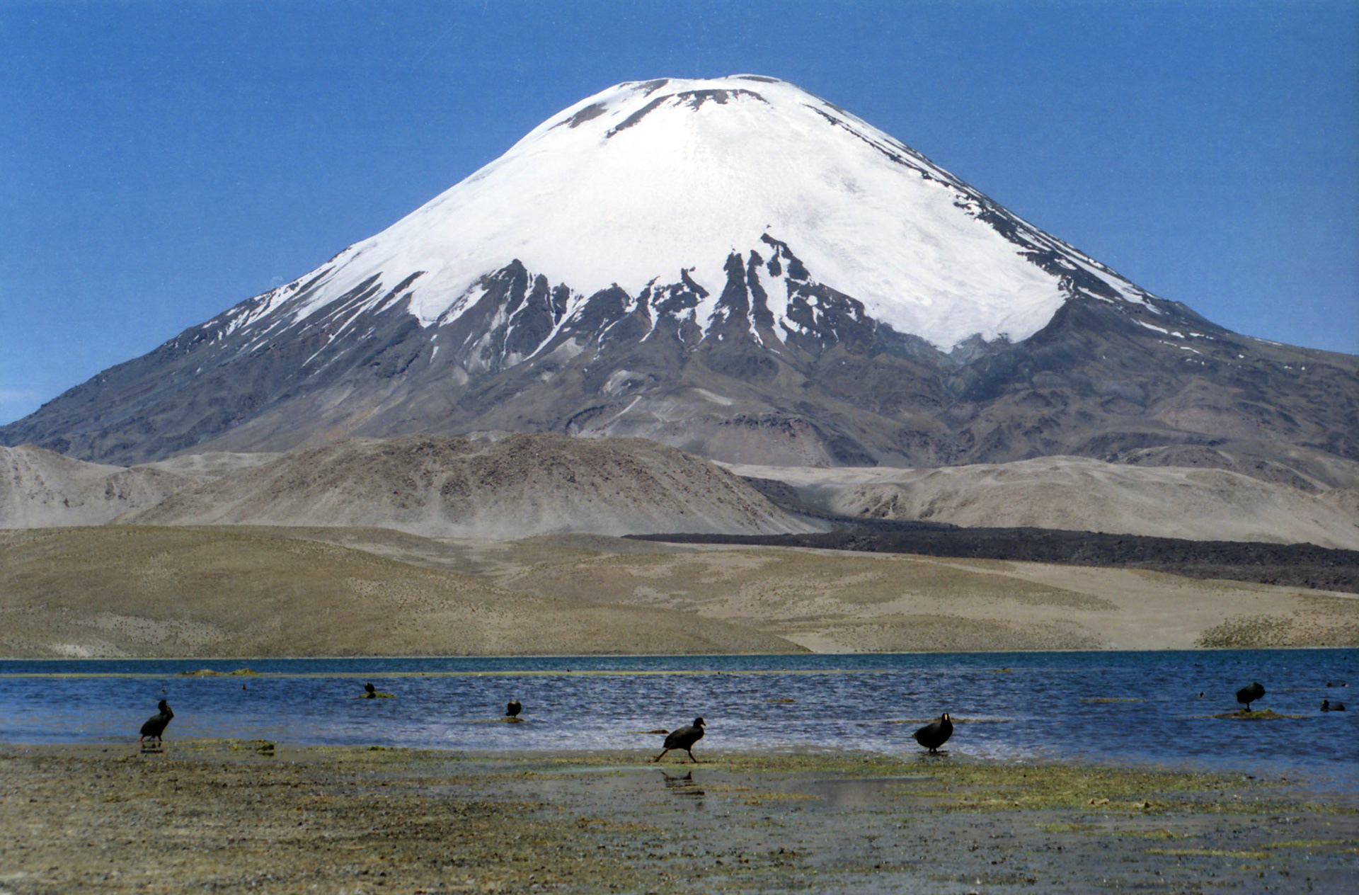 Lascar Volcano - Chile