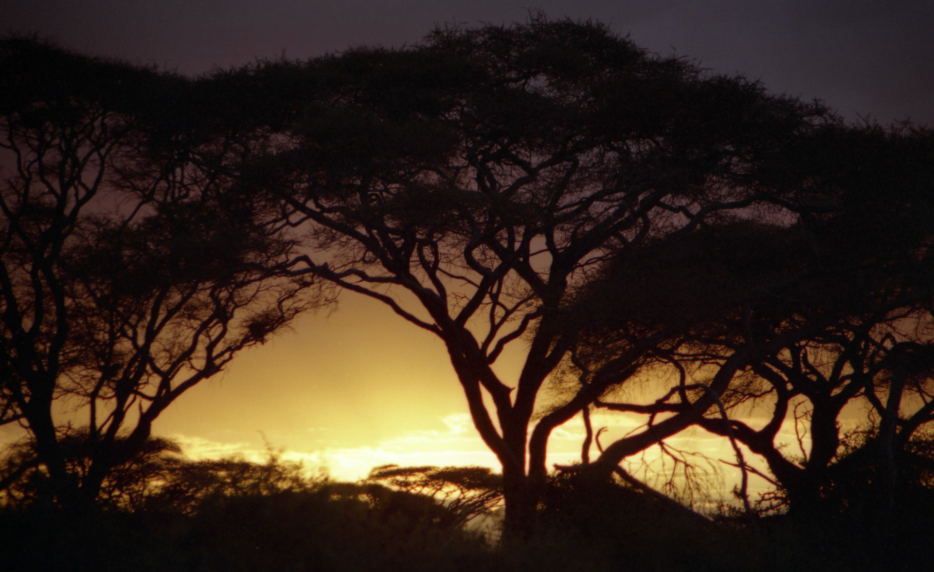 Sunset, Masai Mara - Kenya