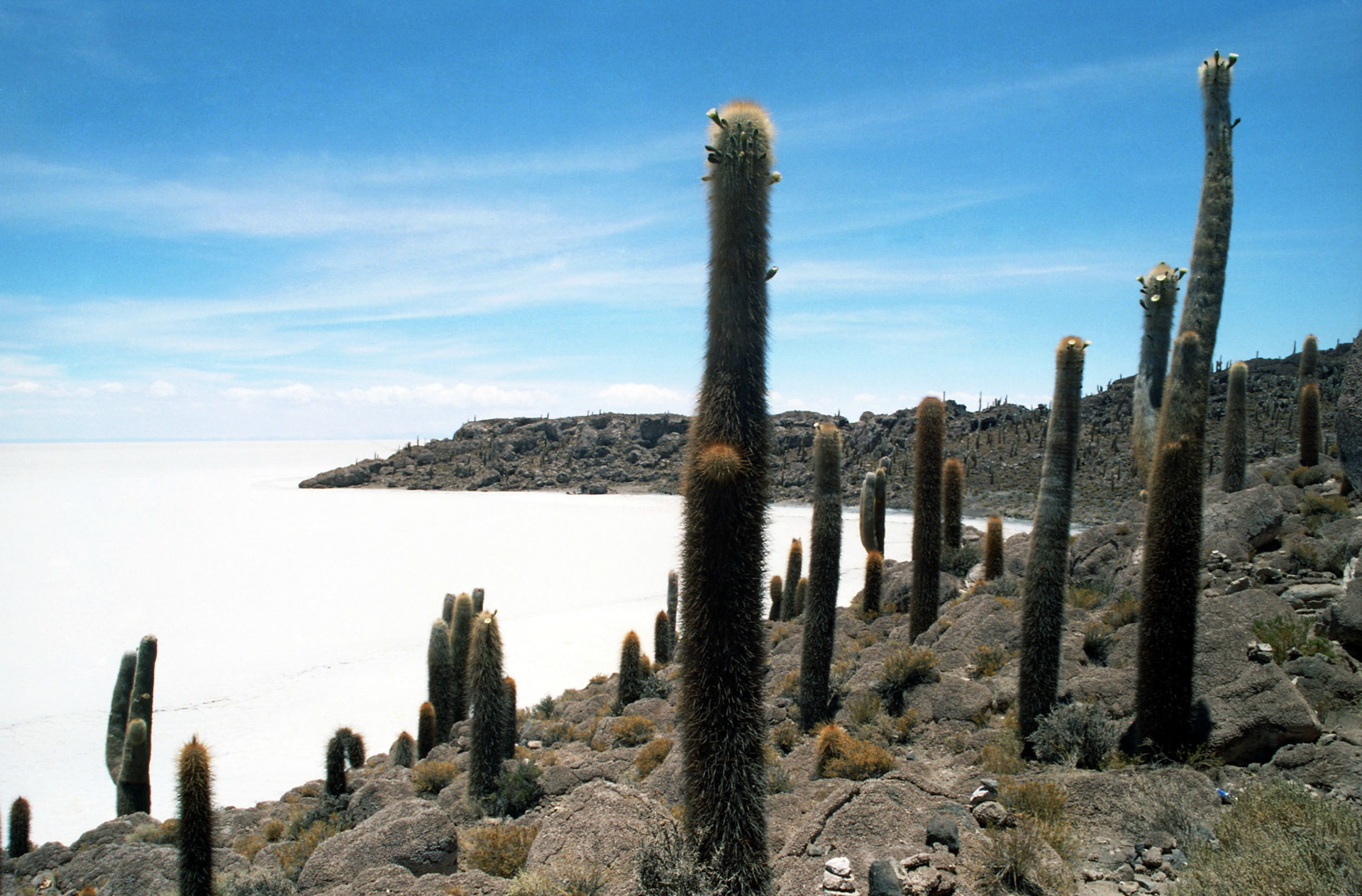 Salar de Uyuni Salt Flat - Bolivia