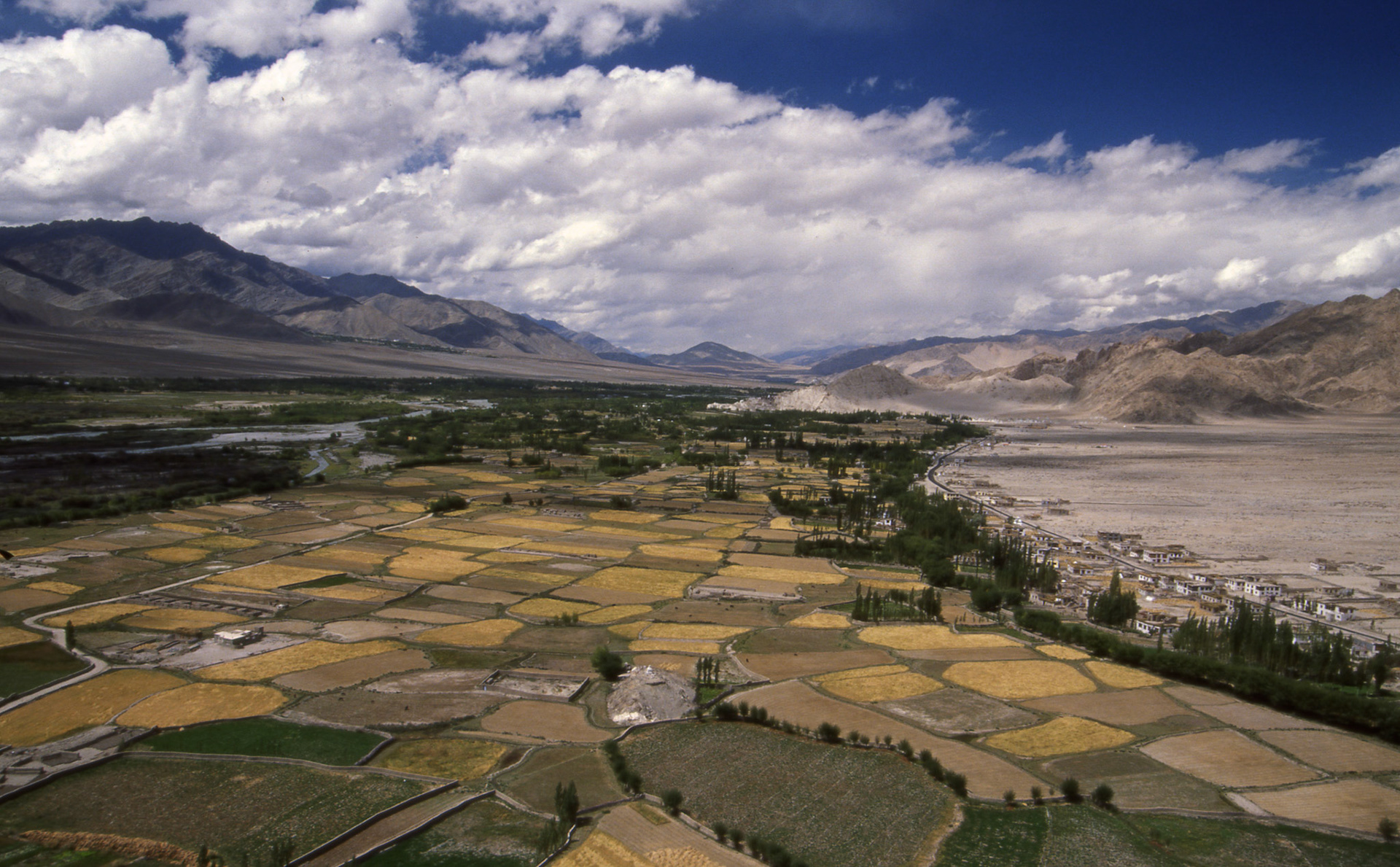 Ladakhi landscape - India