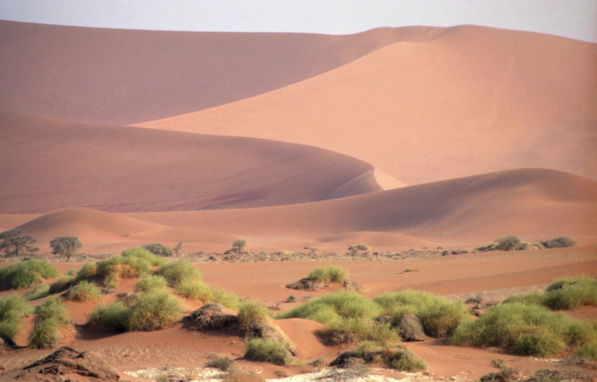 Sossusvlei - Namibia