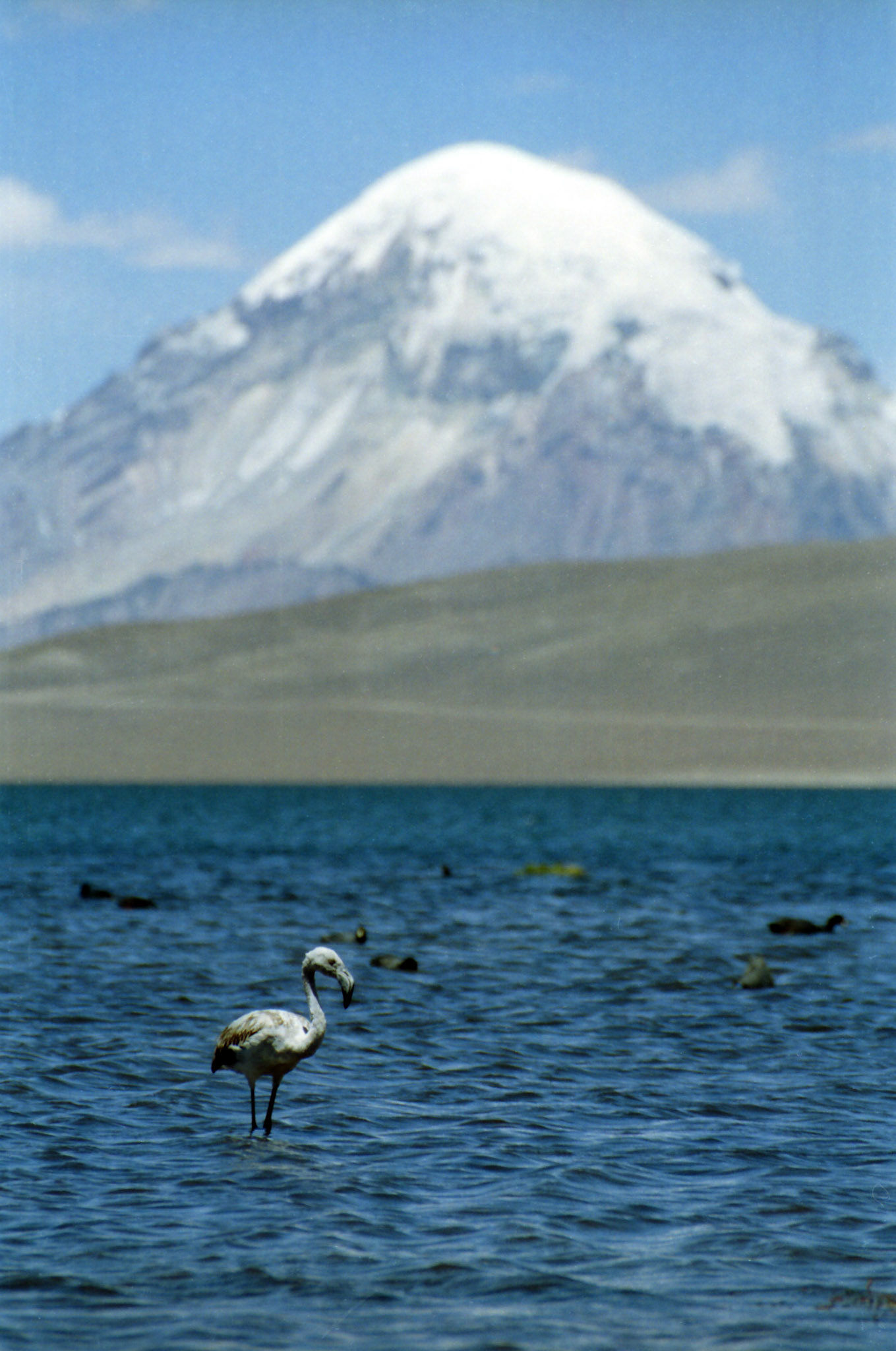 Lascar Volcano - Chile