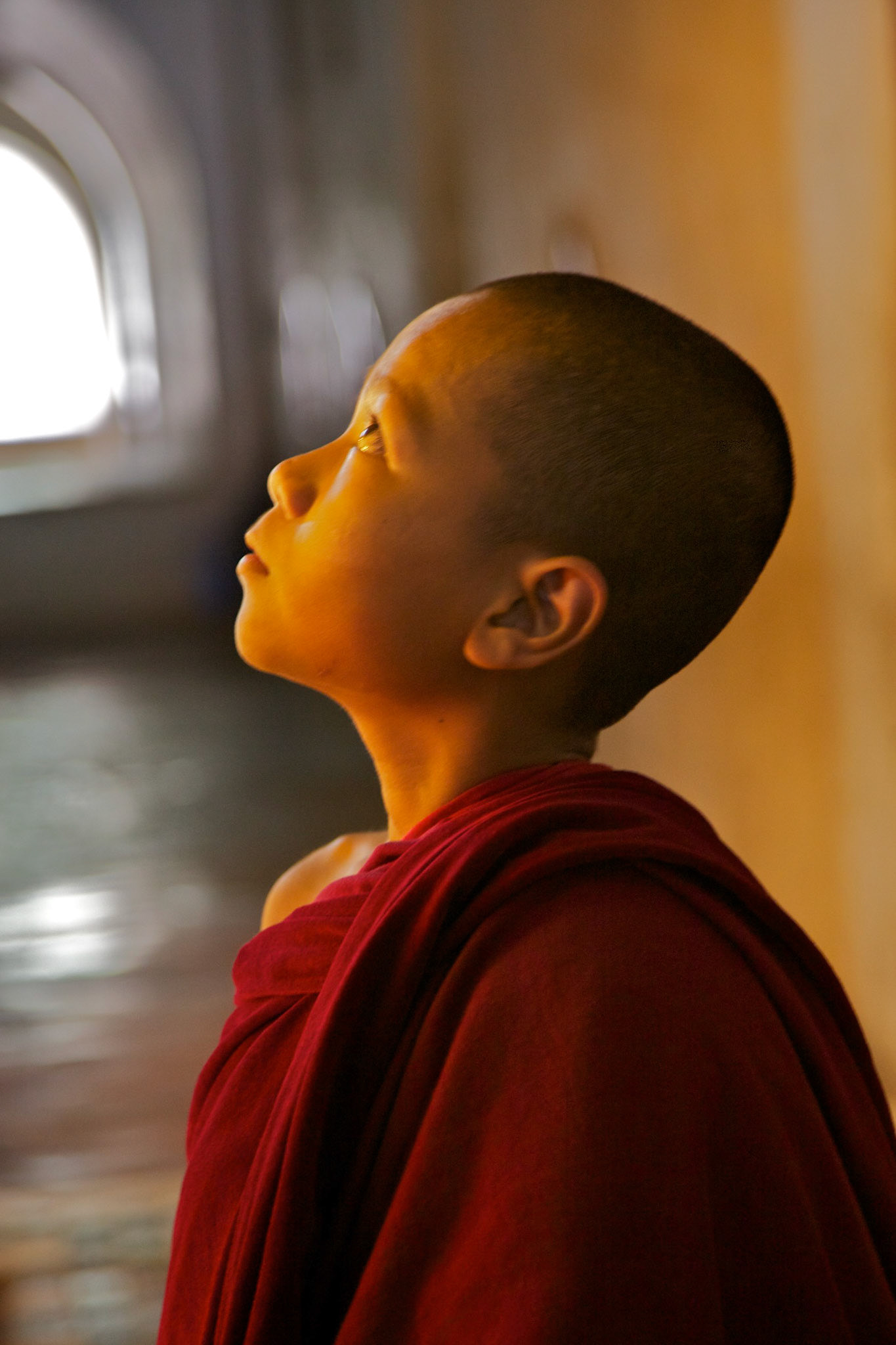 Young monk, gold relfection- Myanmar