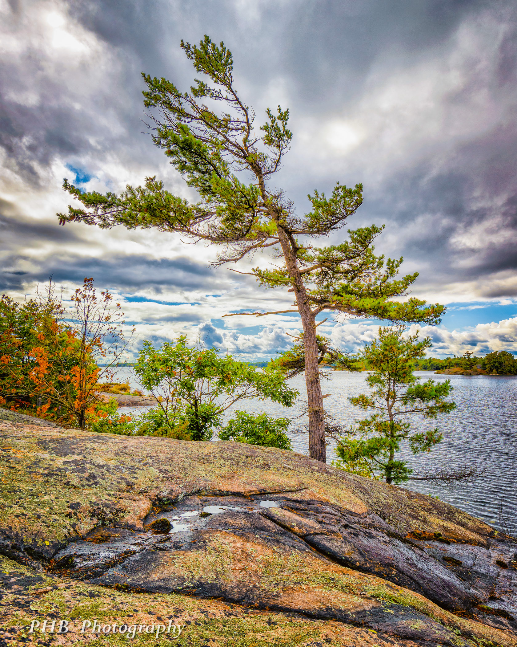 Lone Pine