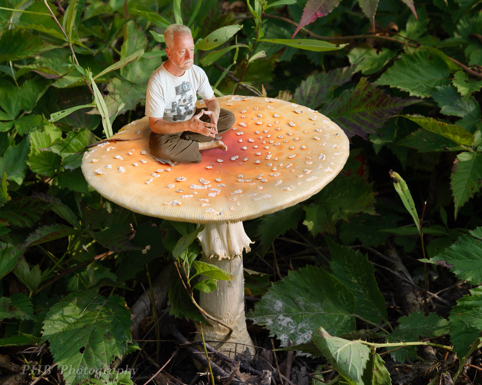 Mushroom Guru