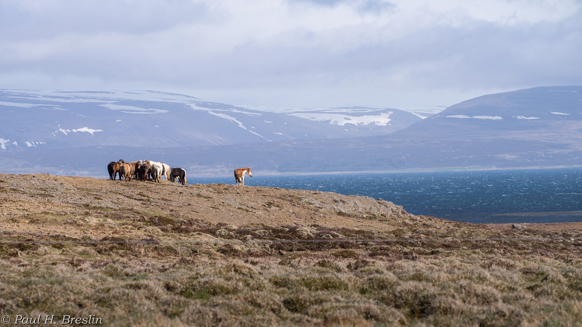 Iceland Vista