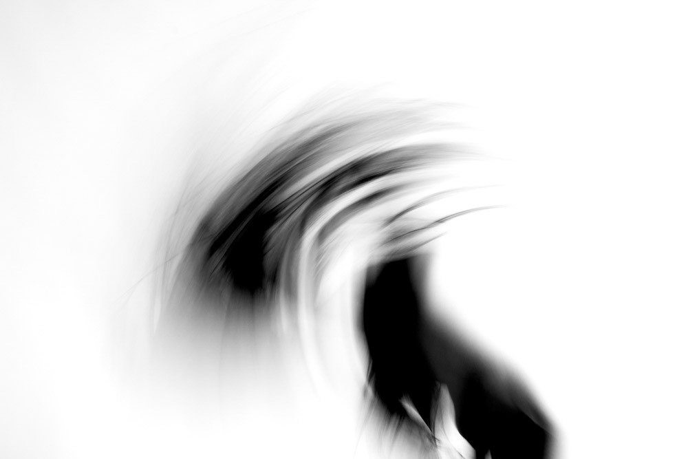 Moving Minh-Ly 9