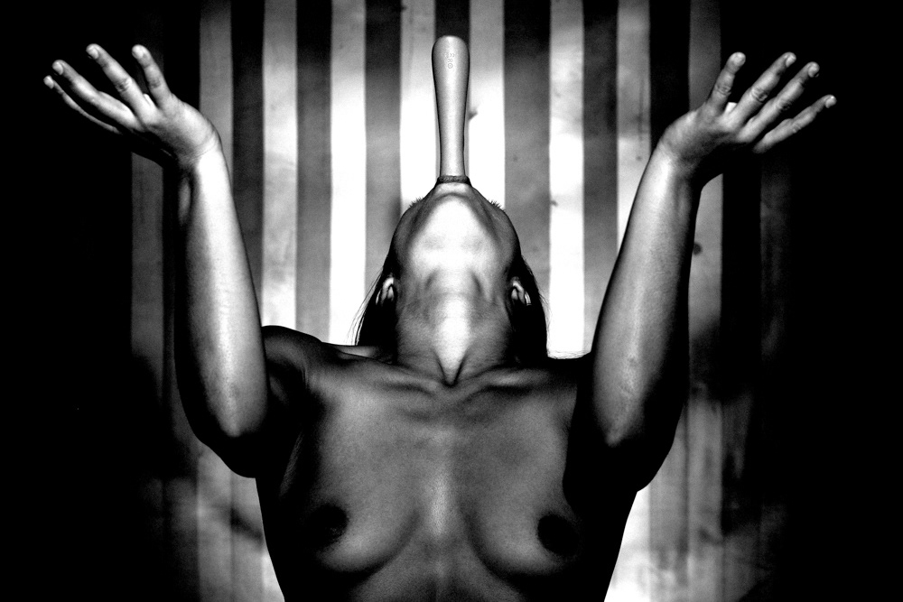 The Dildo Swallower