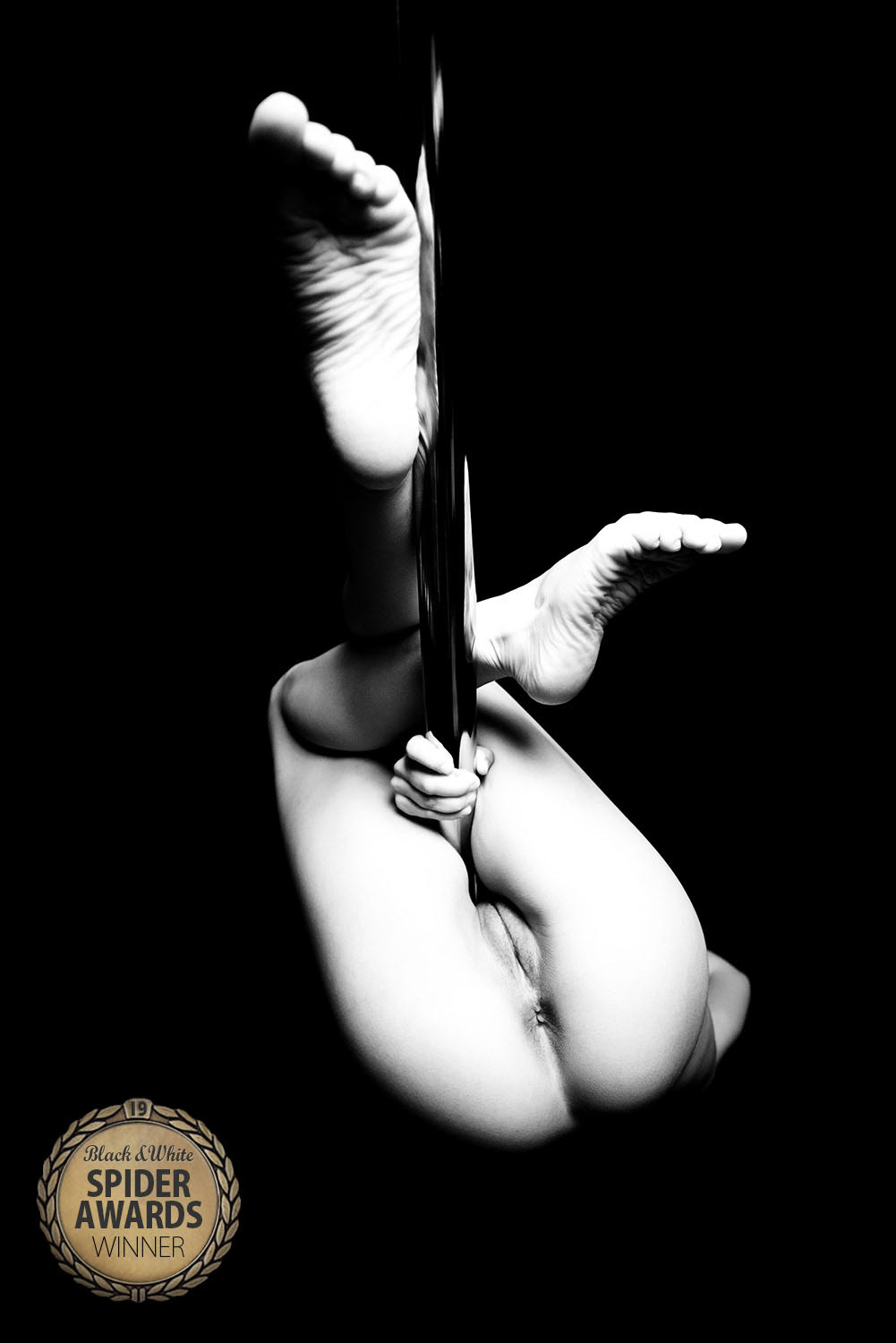 Pole
