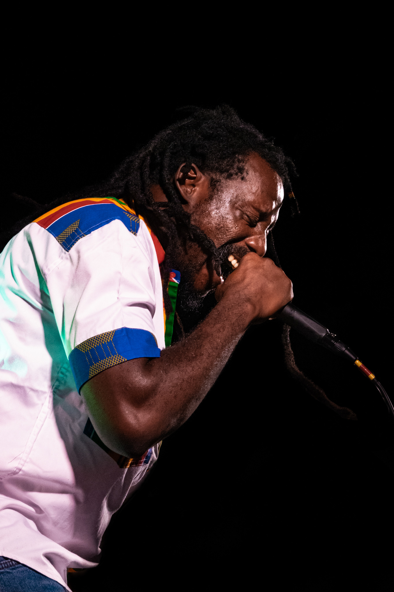 Jah Light at the African Vibes Festival © Célia Lorin