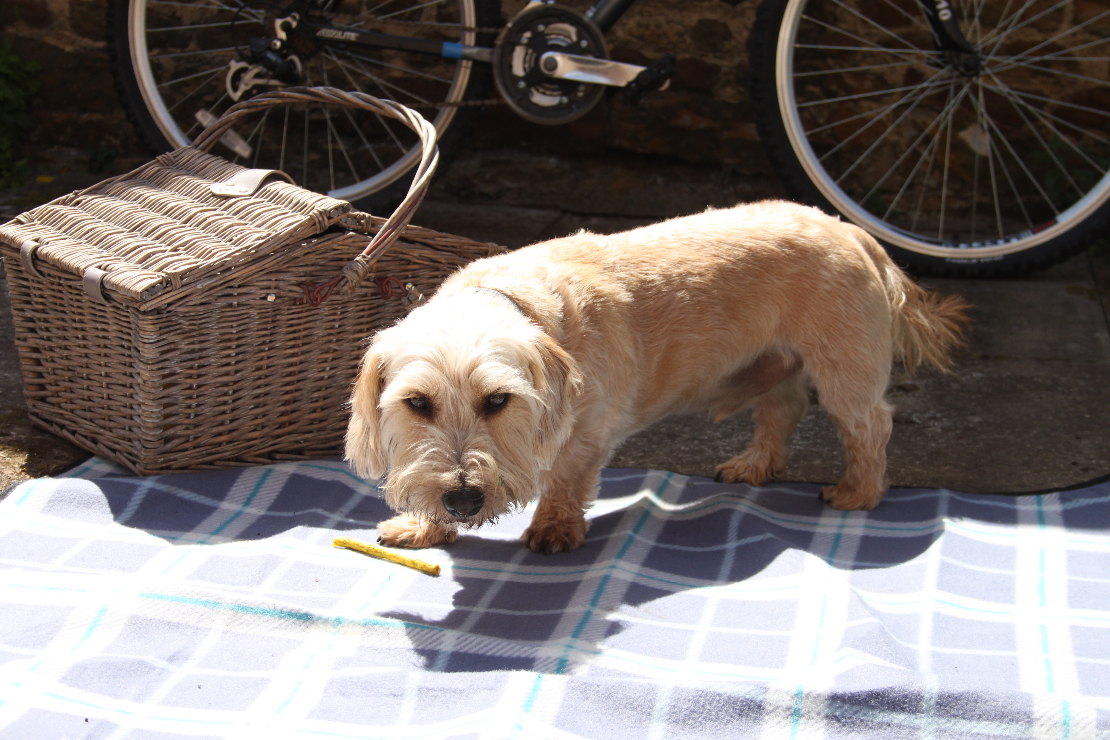 Security Services 😄