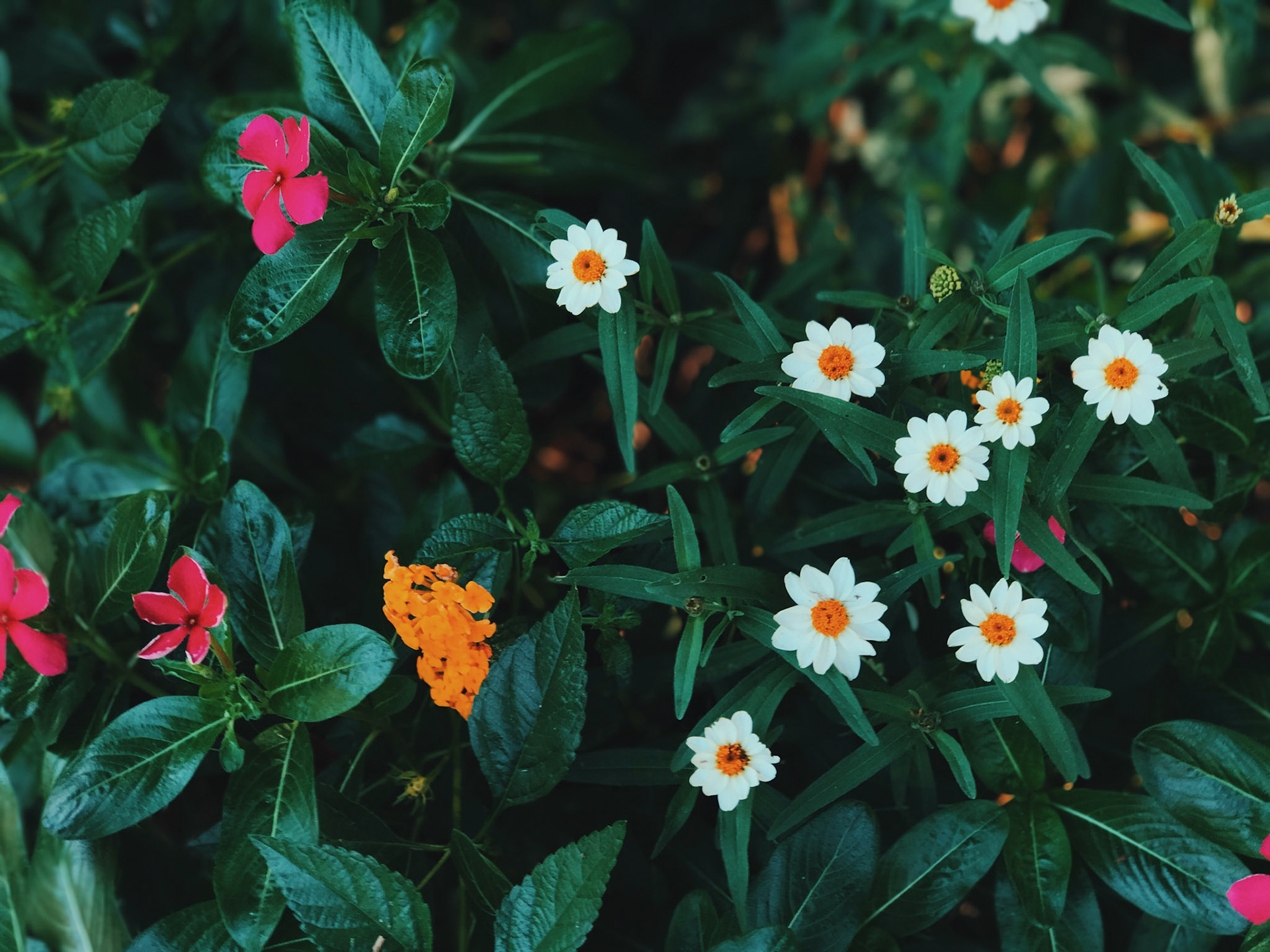 Processed with VSCO with c9 preset