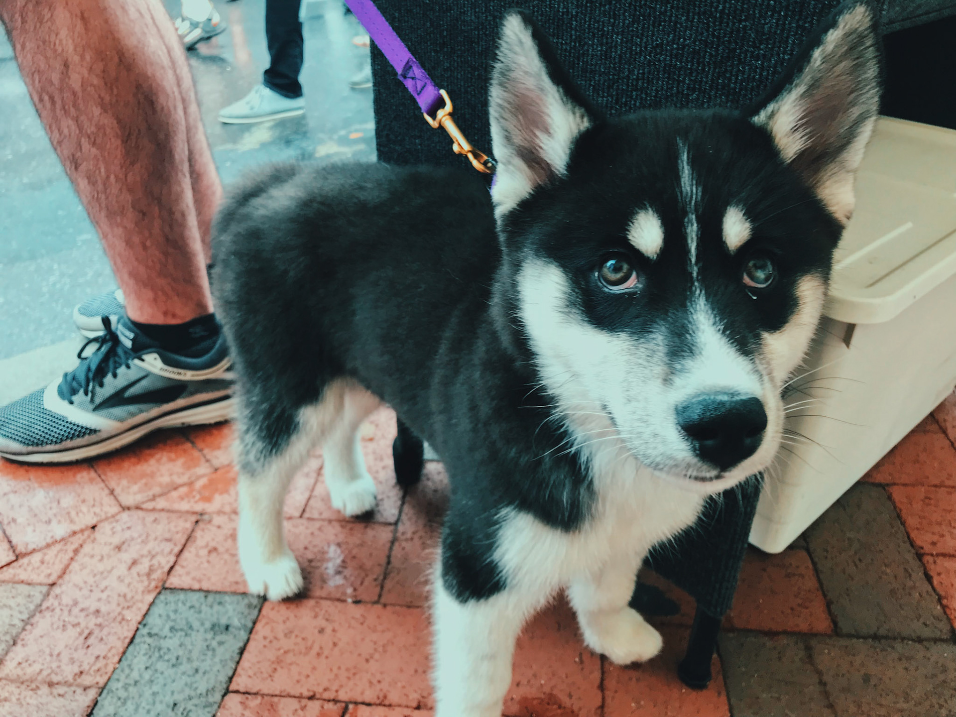 Processed with VSCO with c9 preset