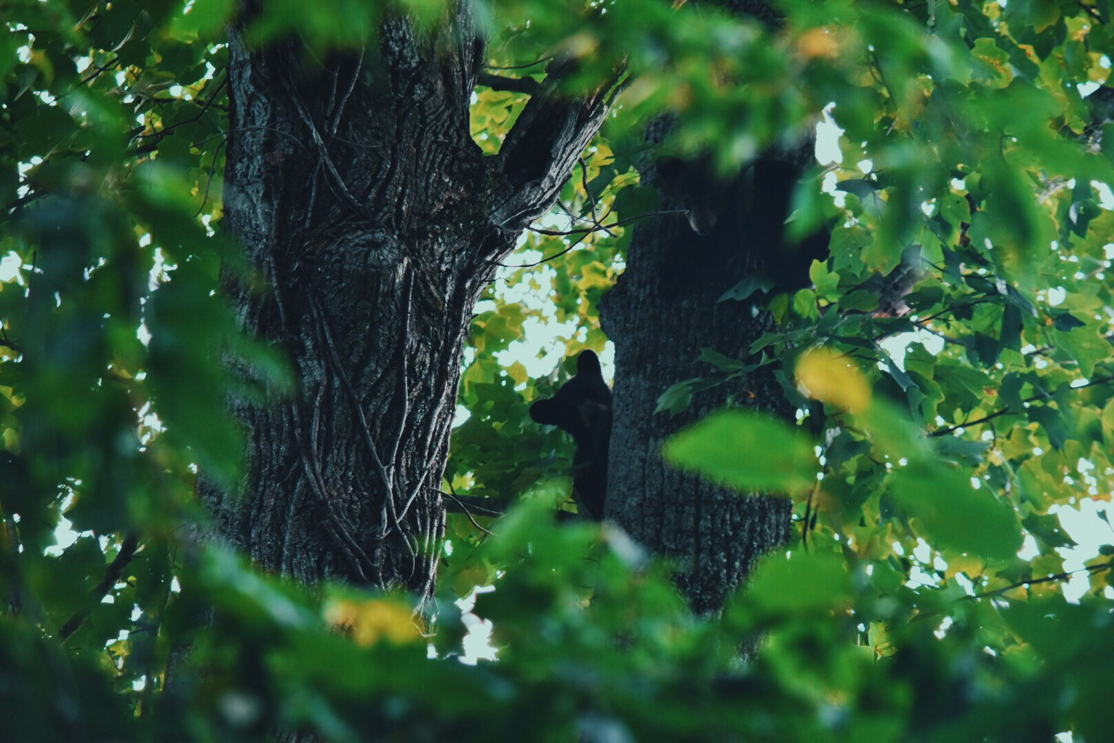 Processed with VSCO with c9 preset