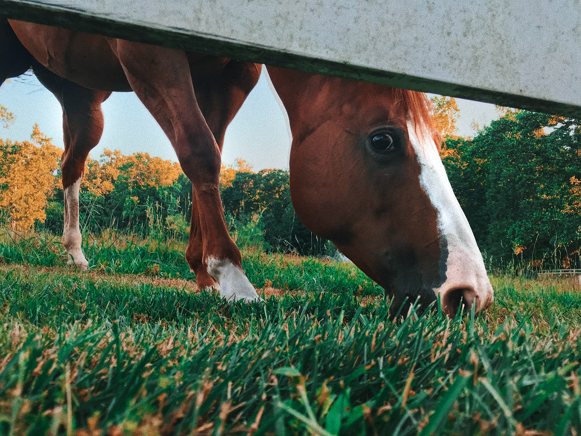 Processed with VSCO with c8 preset
