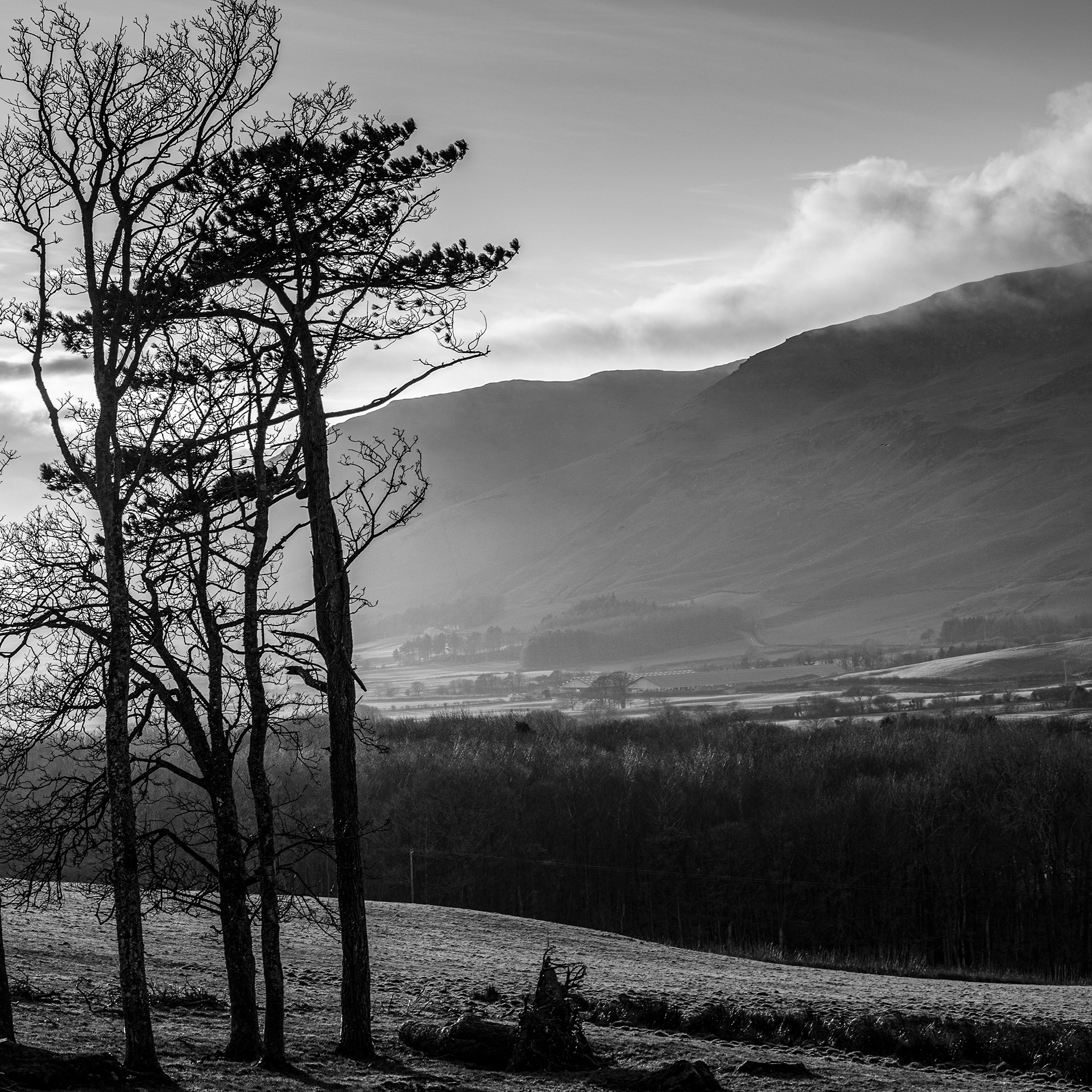 Winter Sun