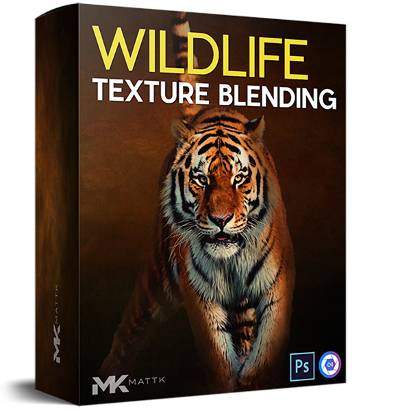 Wildlife Texture Blending by Matt Kloskowski