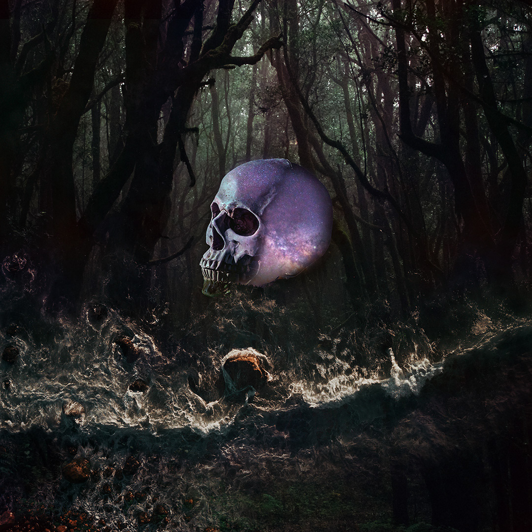 The Forest - Digital Art by Andrew Kavanagh
