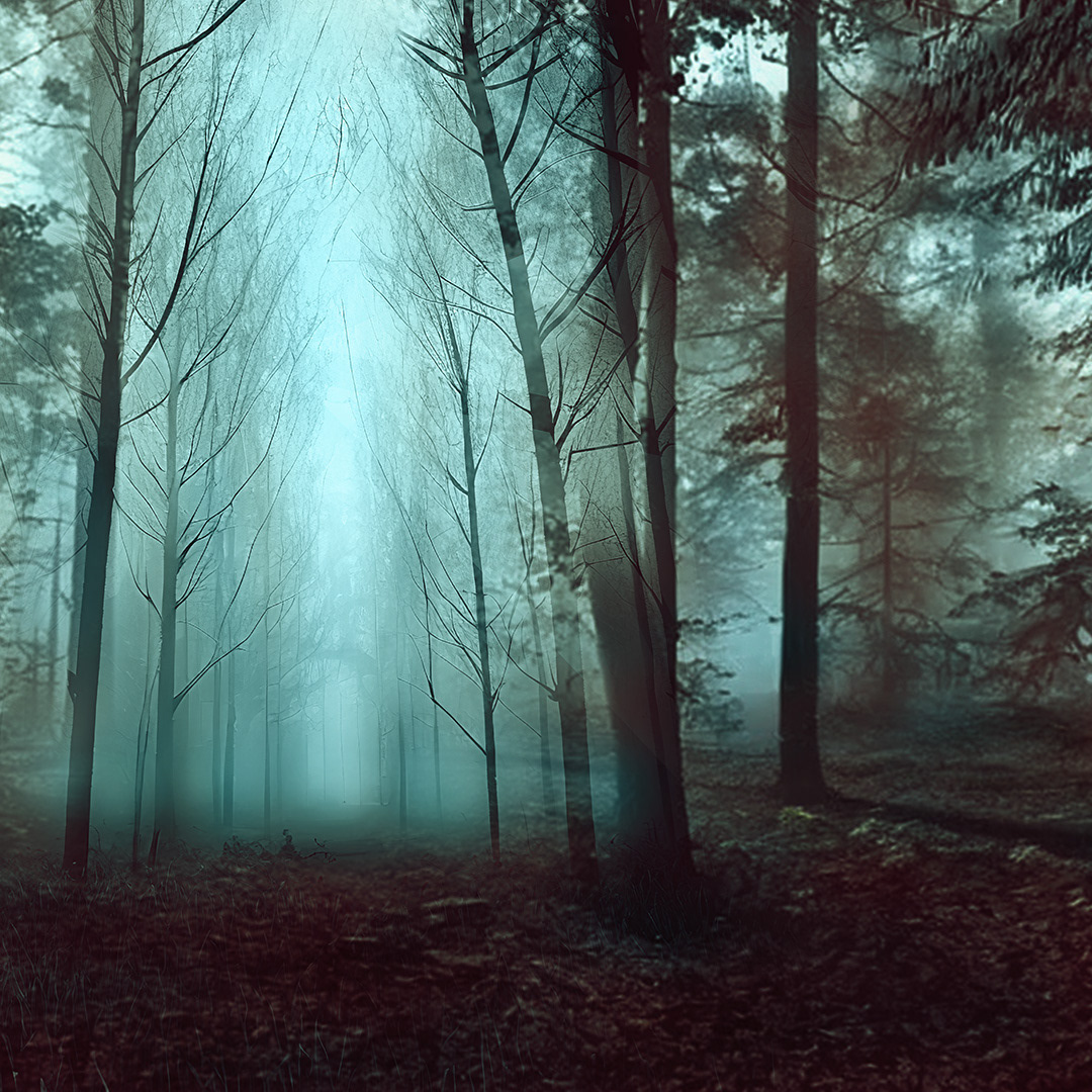 Talking Forest - Digital Art by Andrew Kavanagh