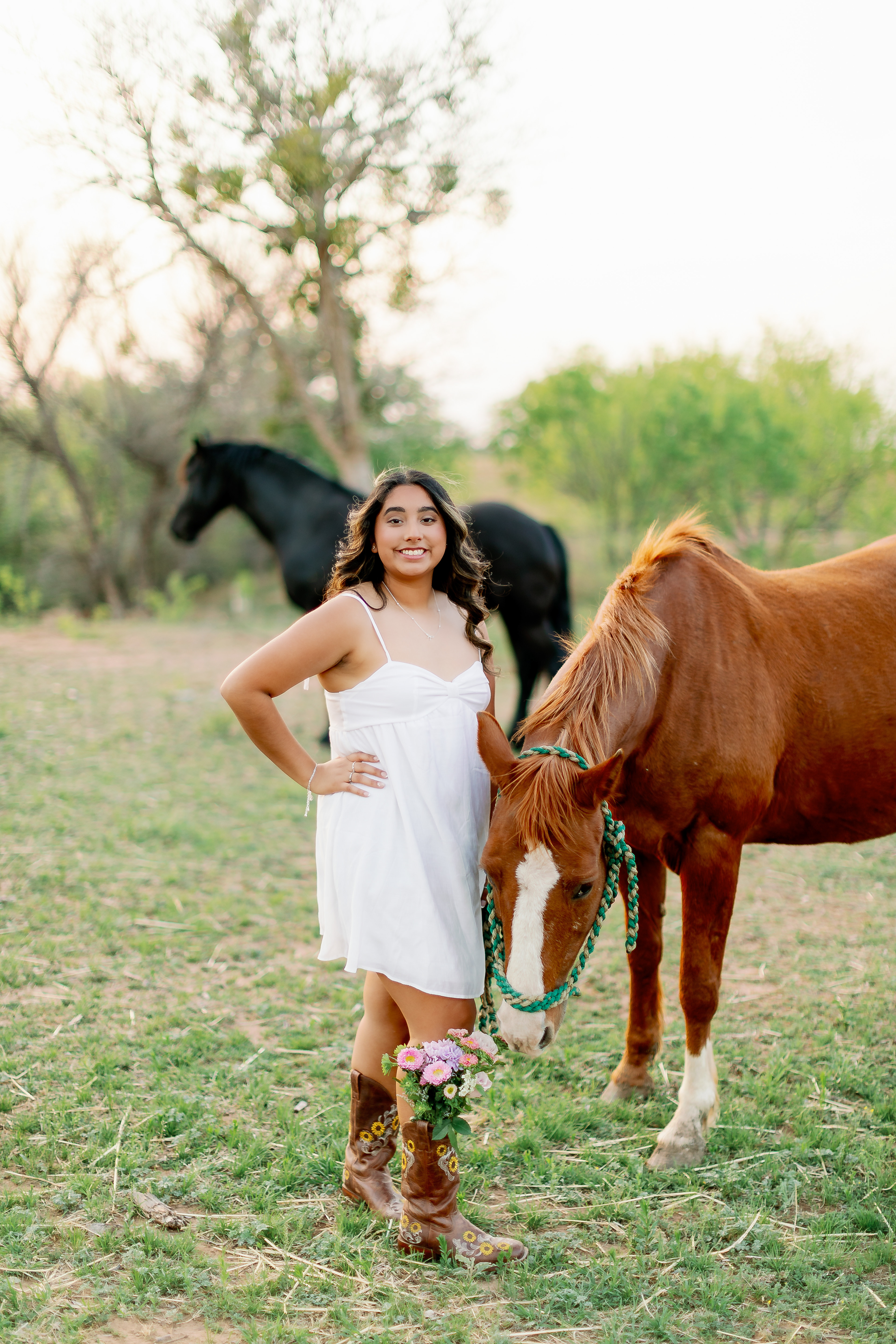 Private ranch: Snyder, Tx