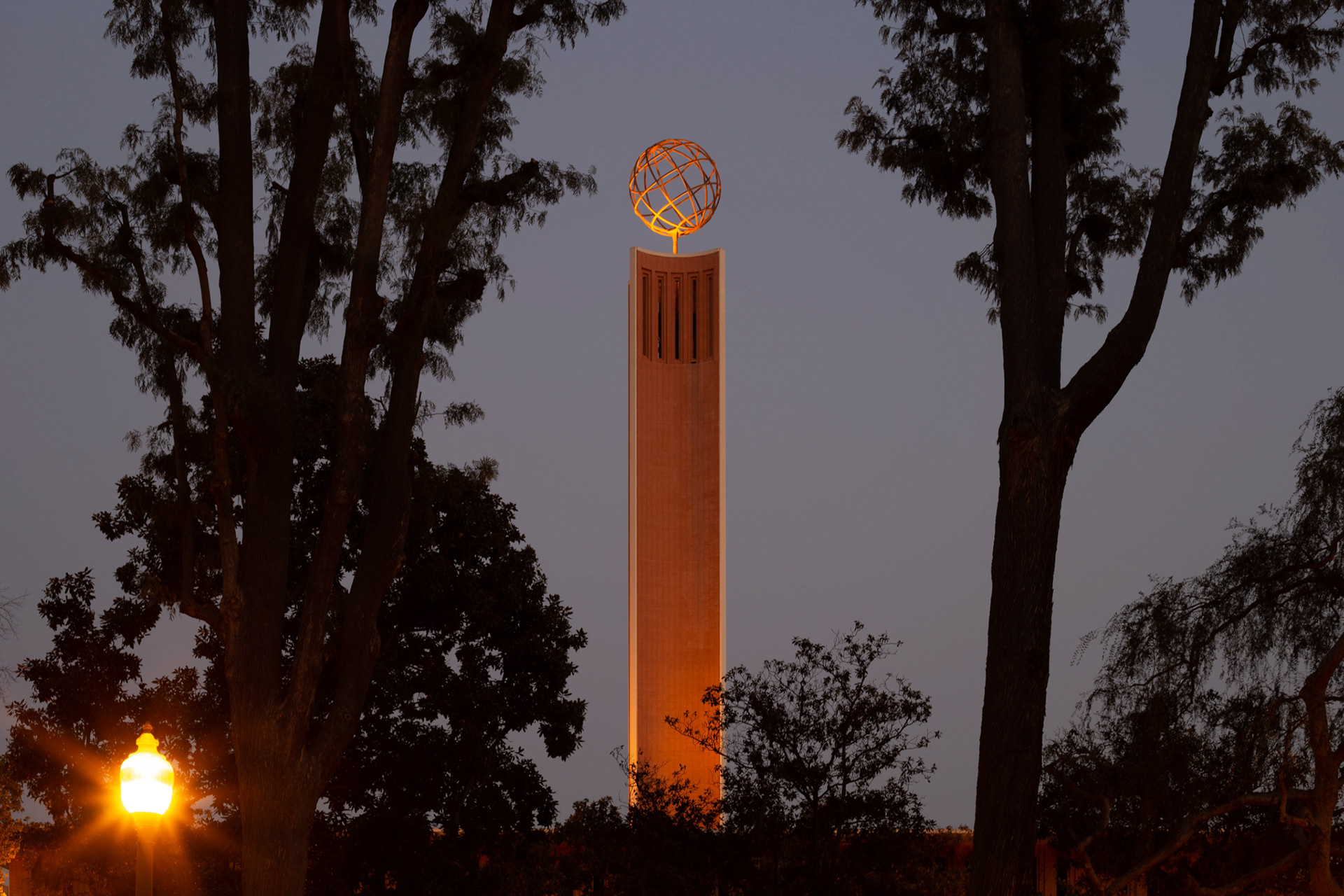 The Center for International and Public Affairs [Los Angeles, CA] (2020)