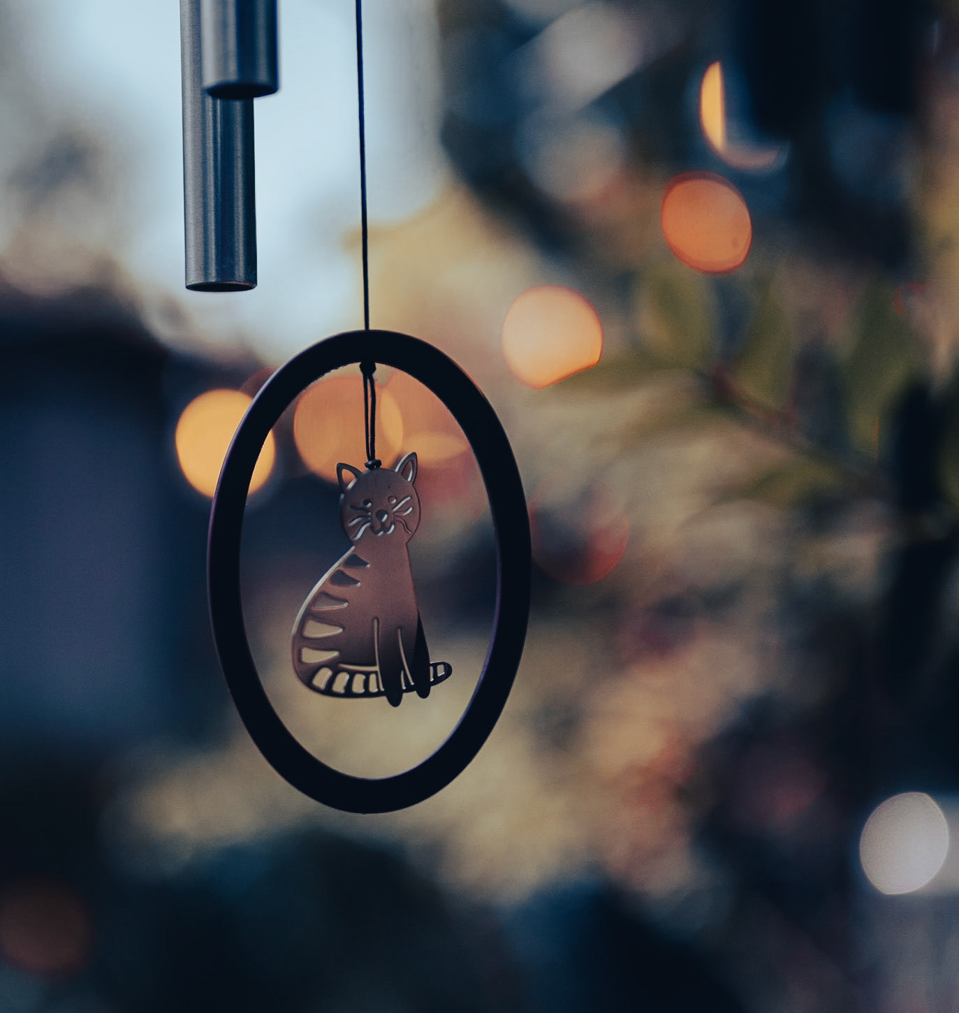 bokeh test