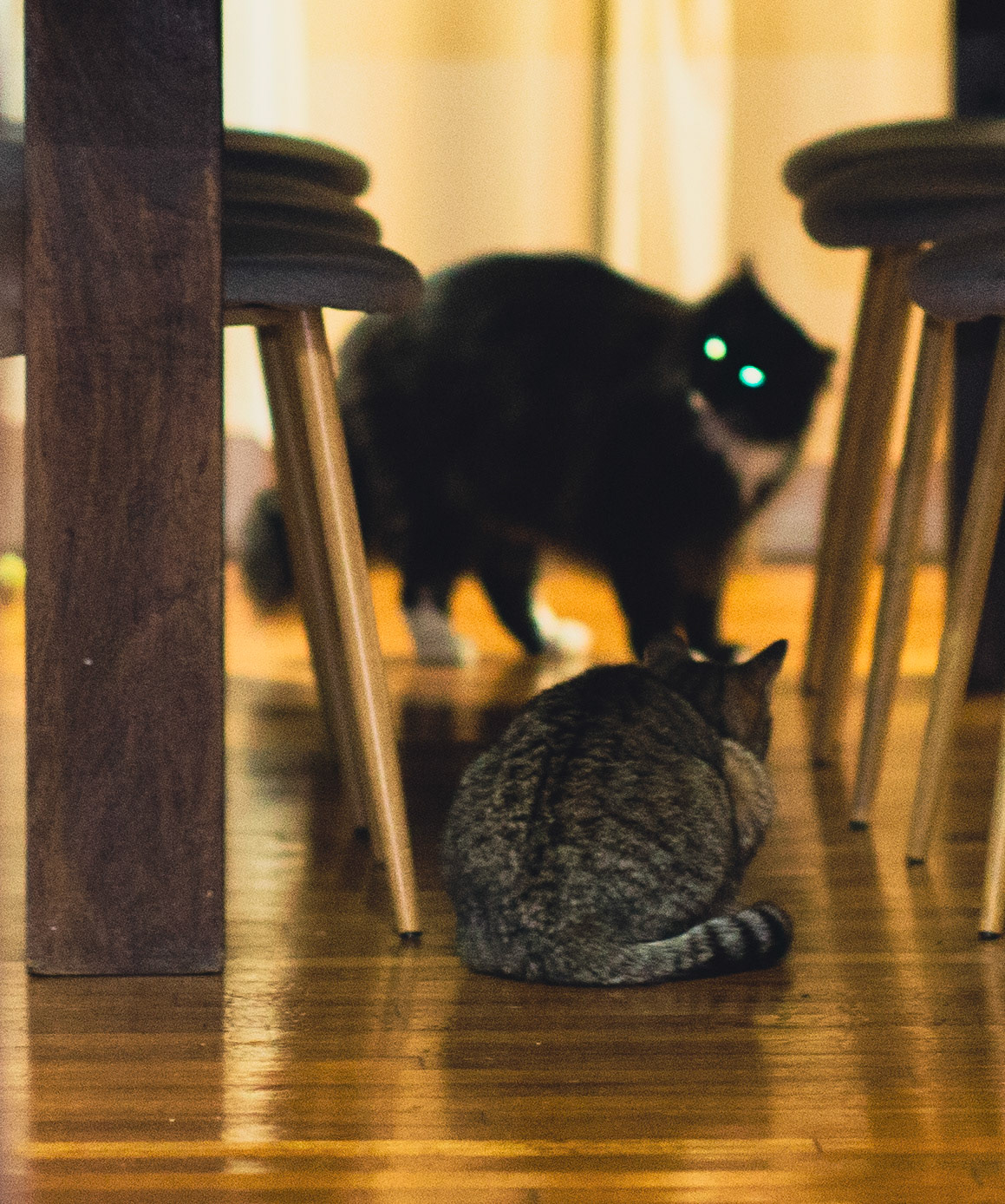 Laser Eyes