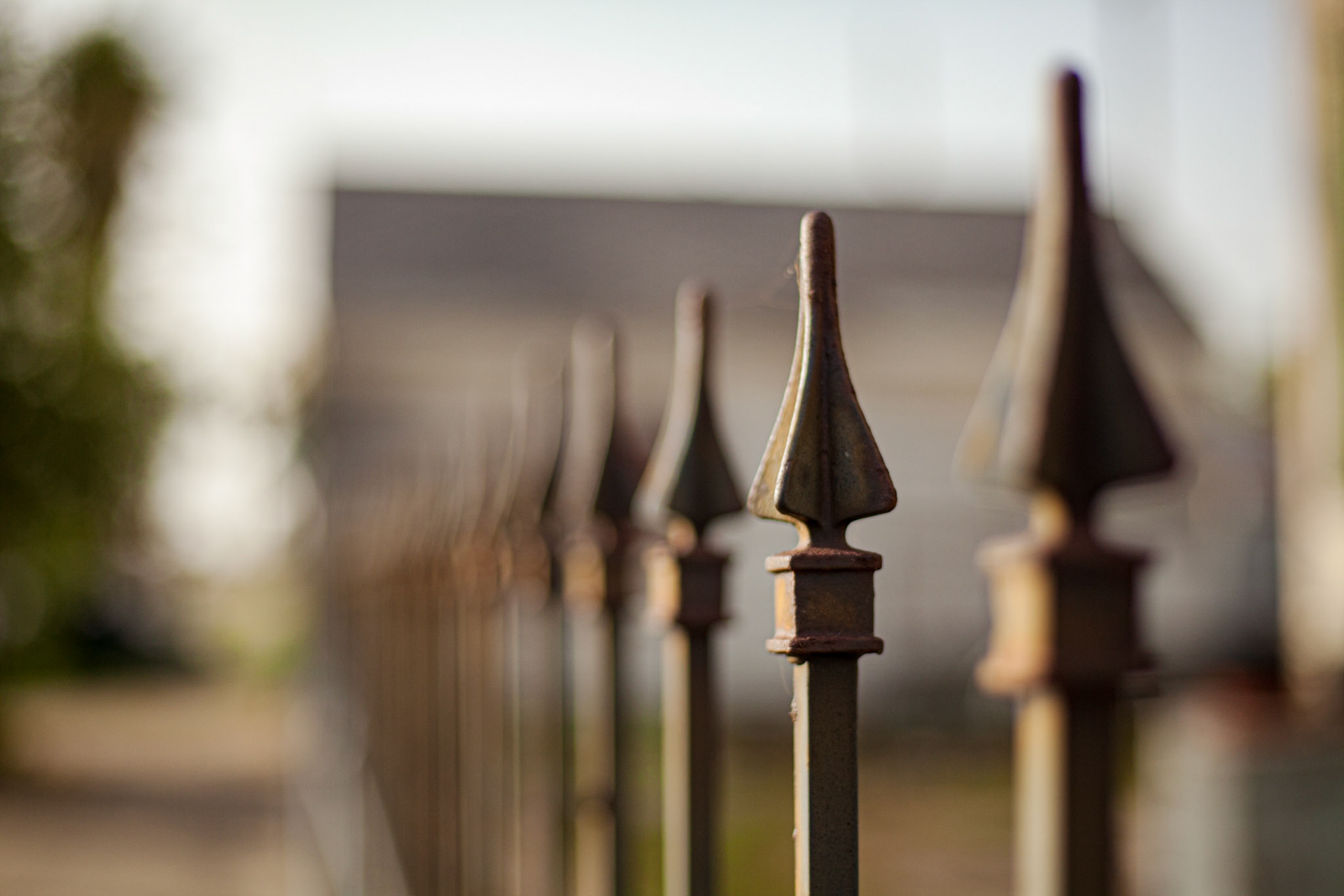 Bokeh