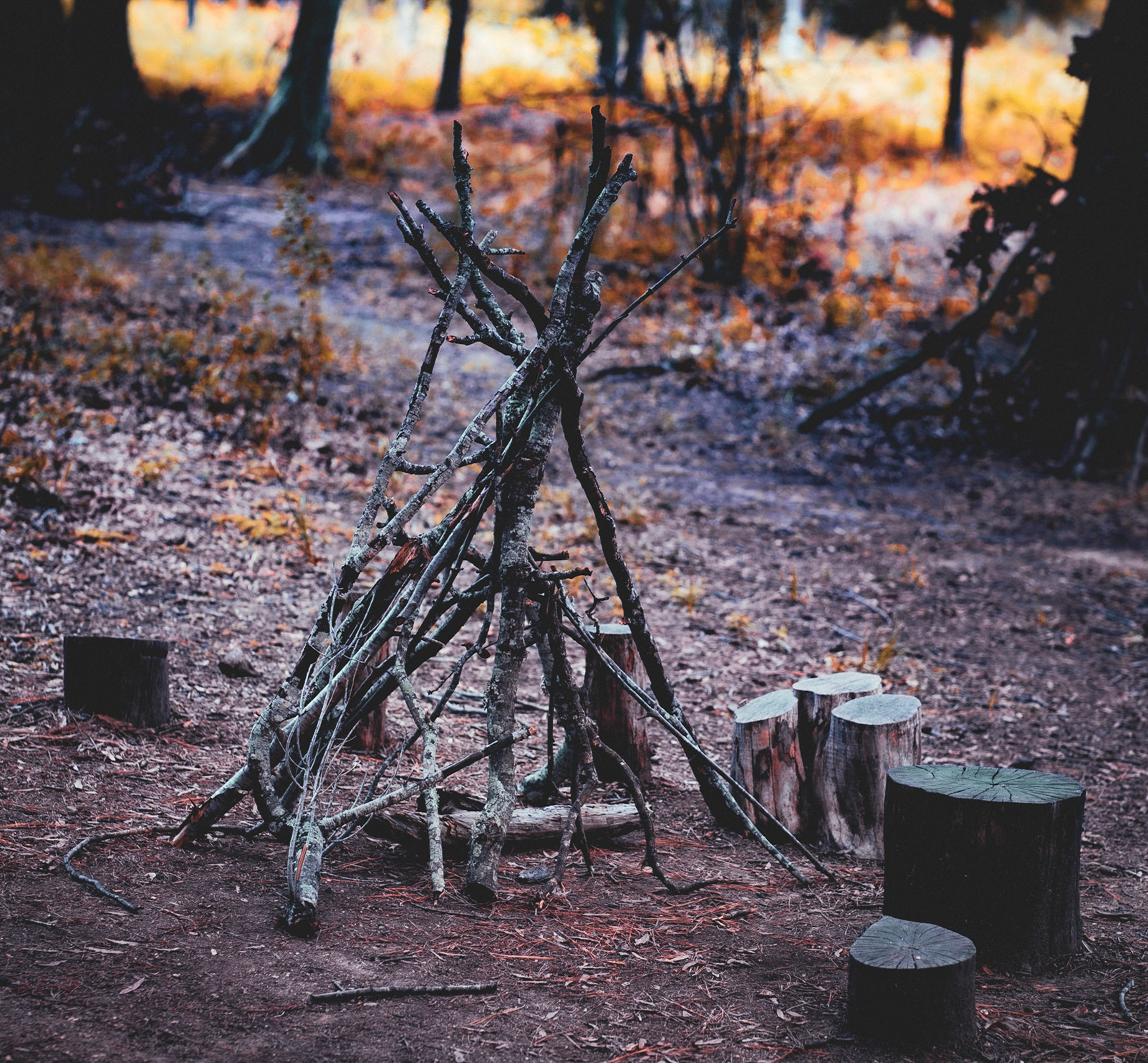 Blair Witch
