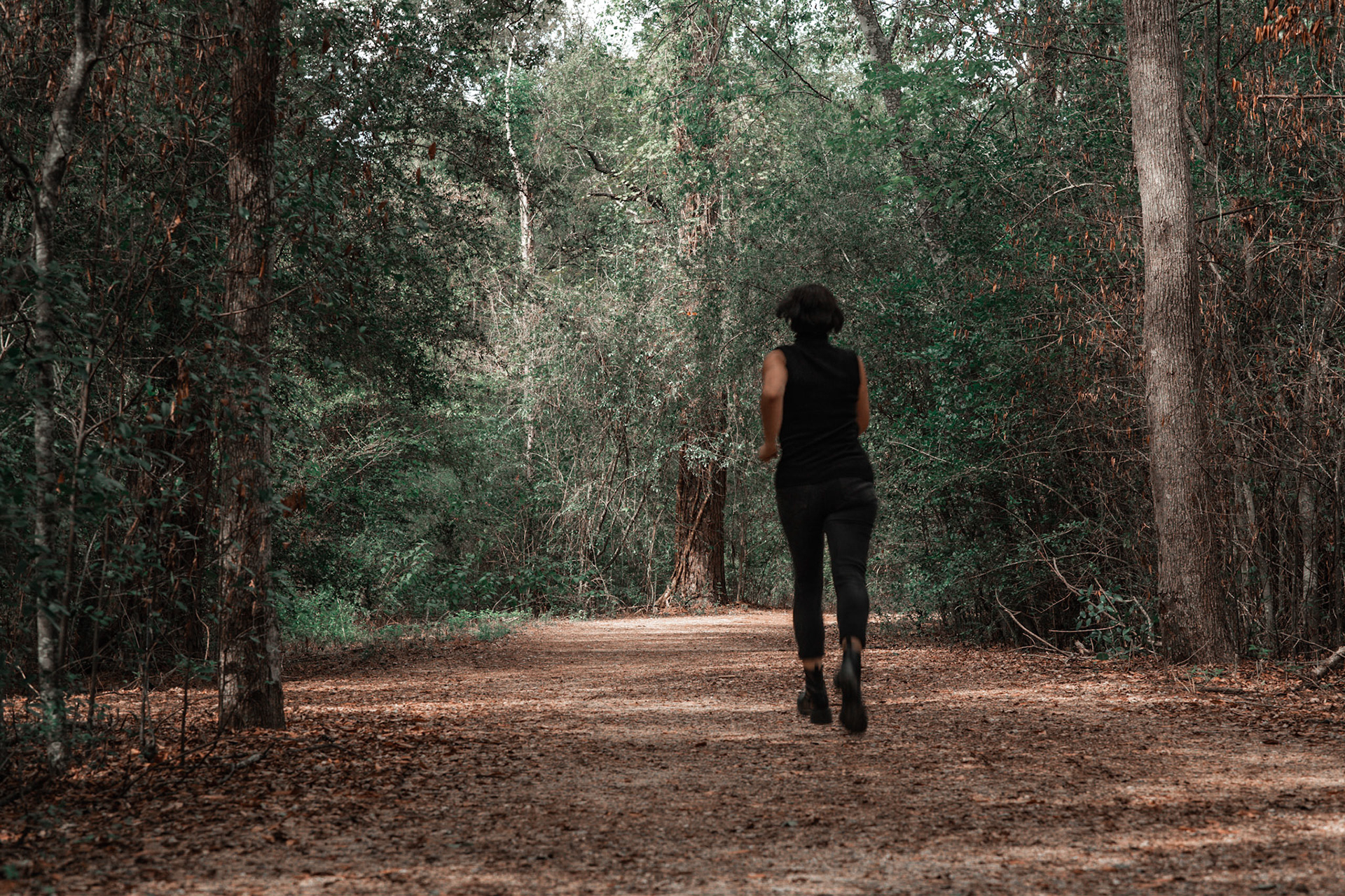 85mm Arboretum
