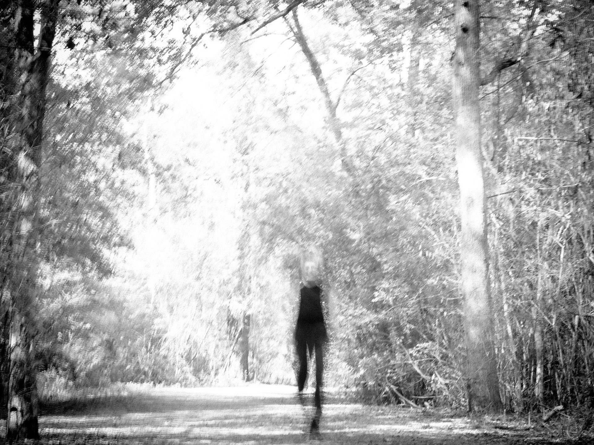85mm Arboretum
