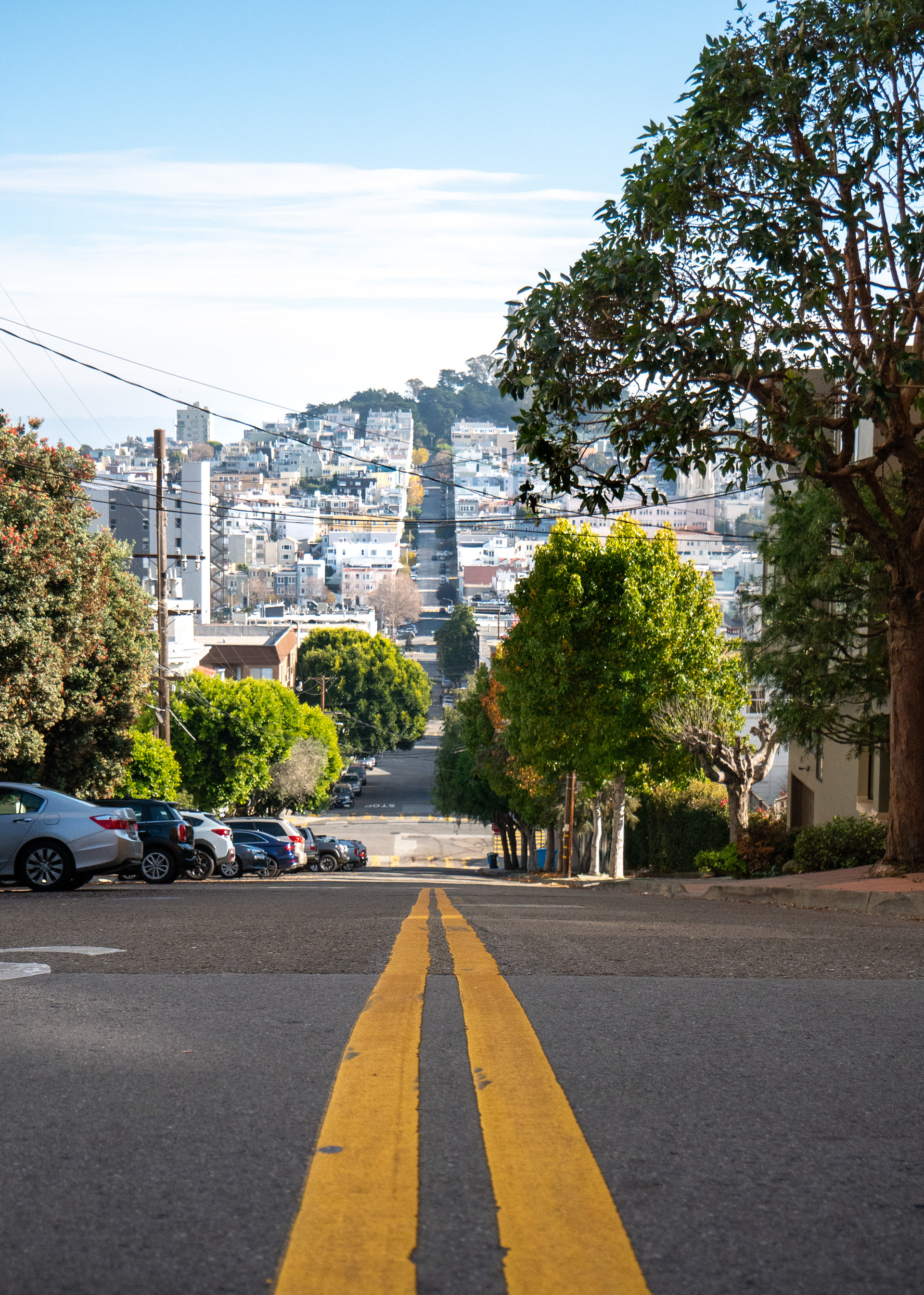 Hills Of San Fran