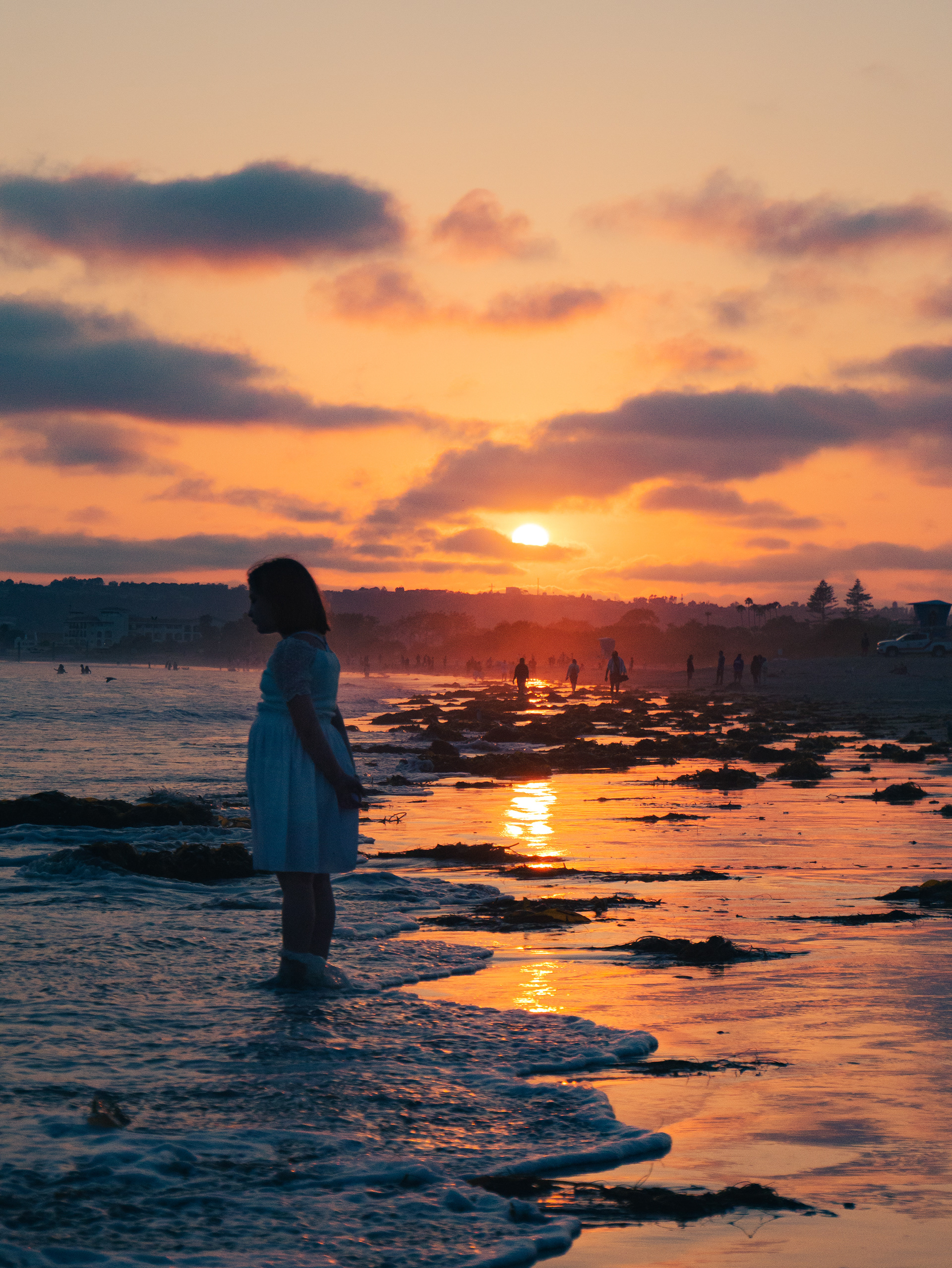 "Contemplation of Beauty"
