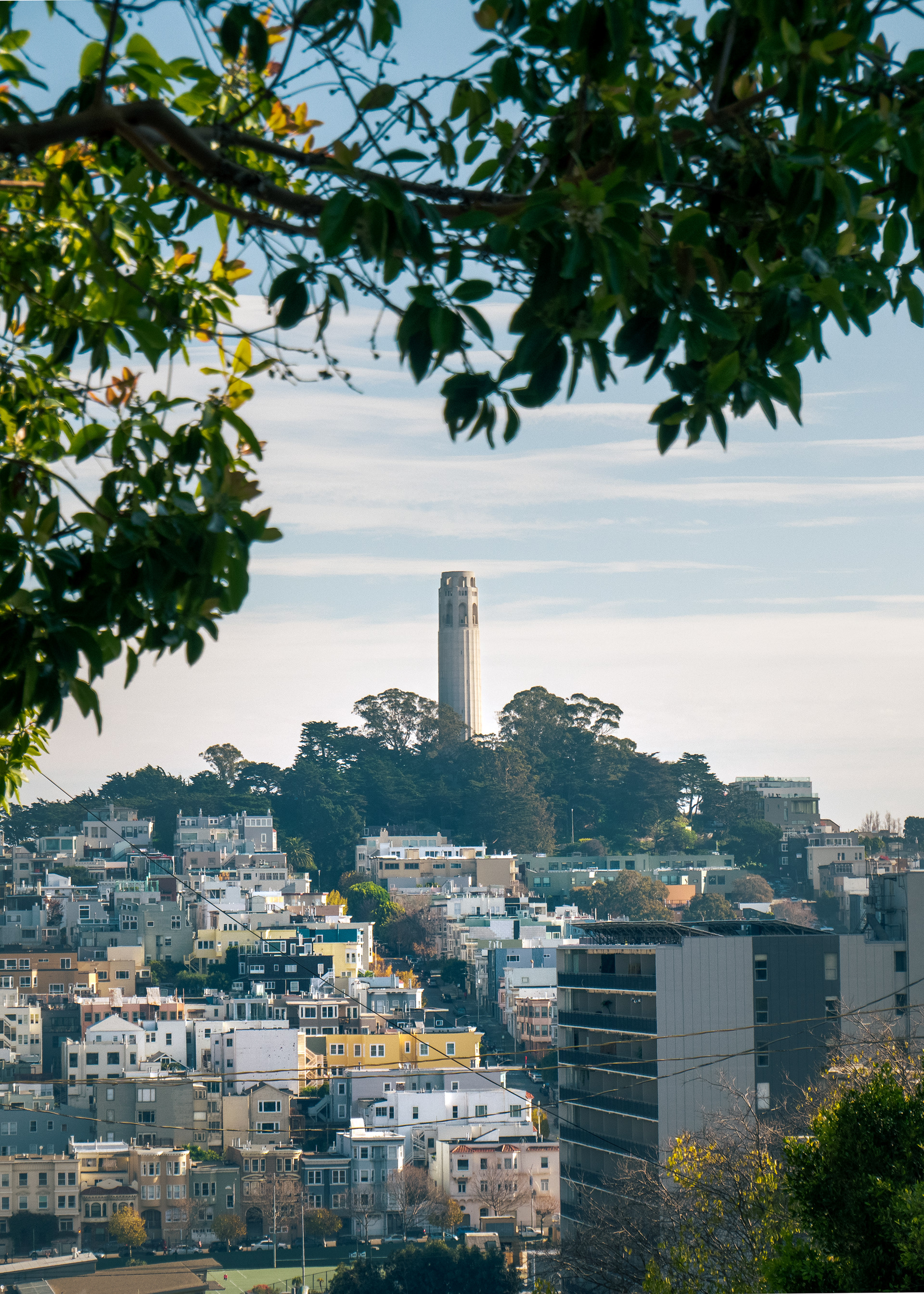 Coit Tower