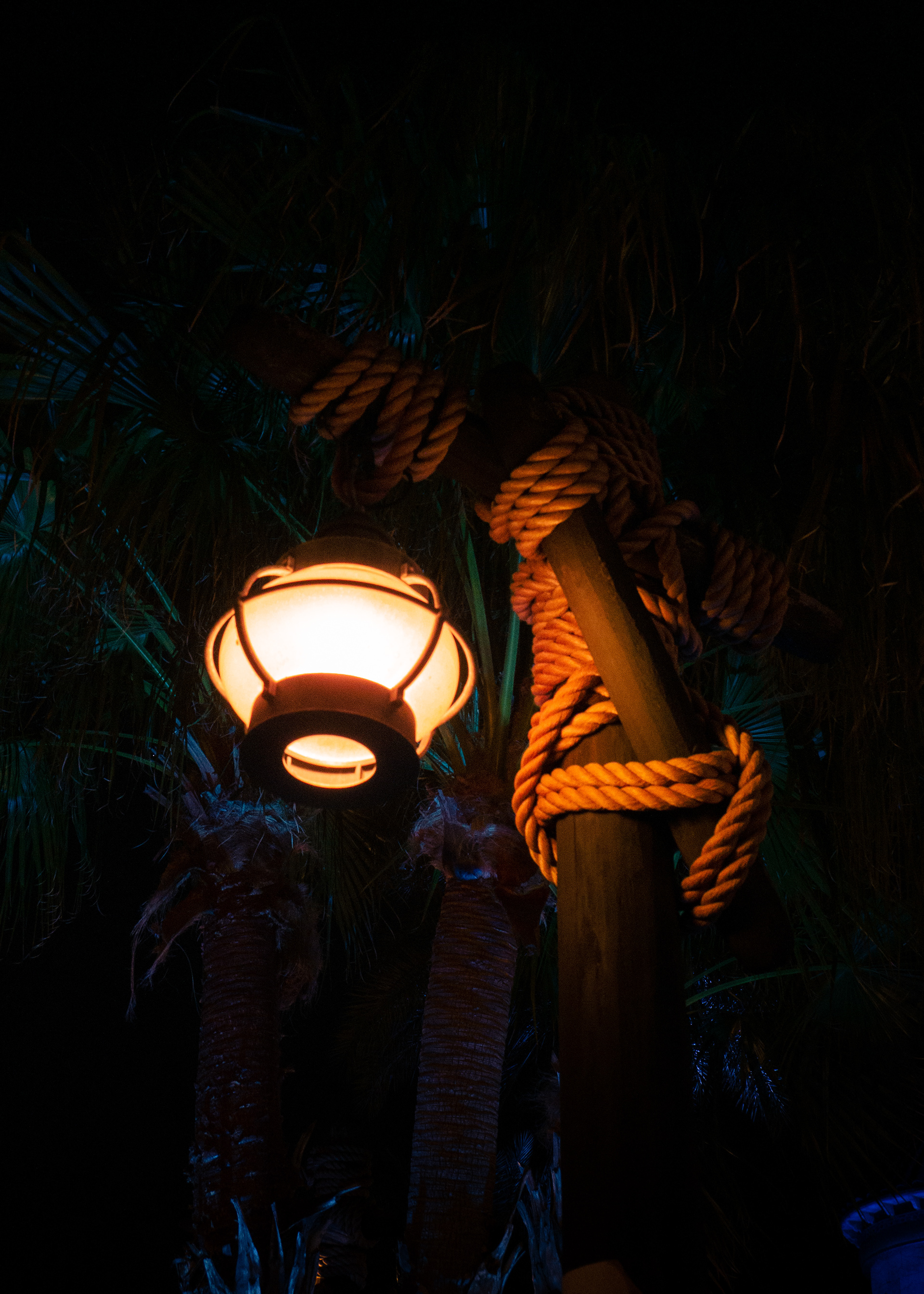 Mermaid Lantern