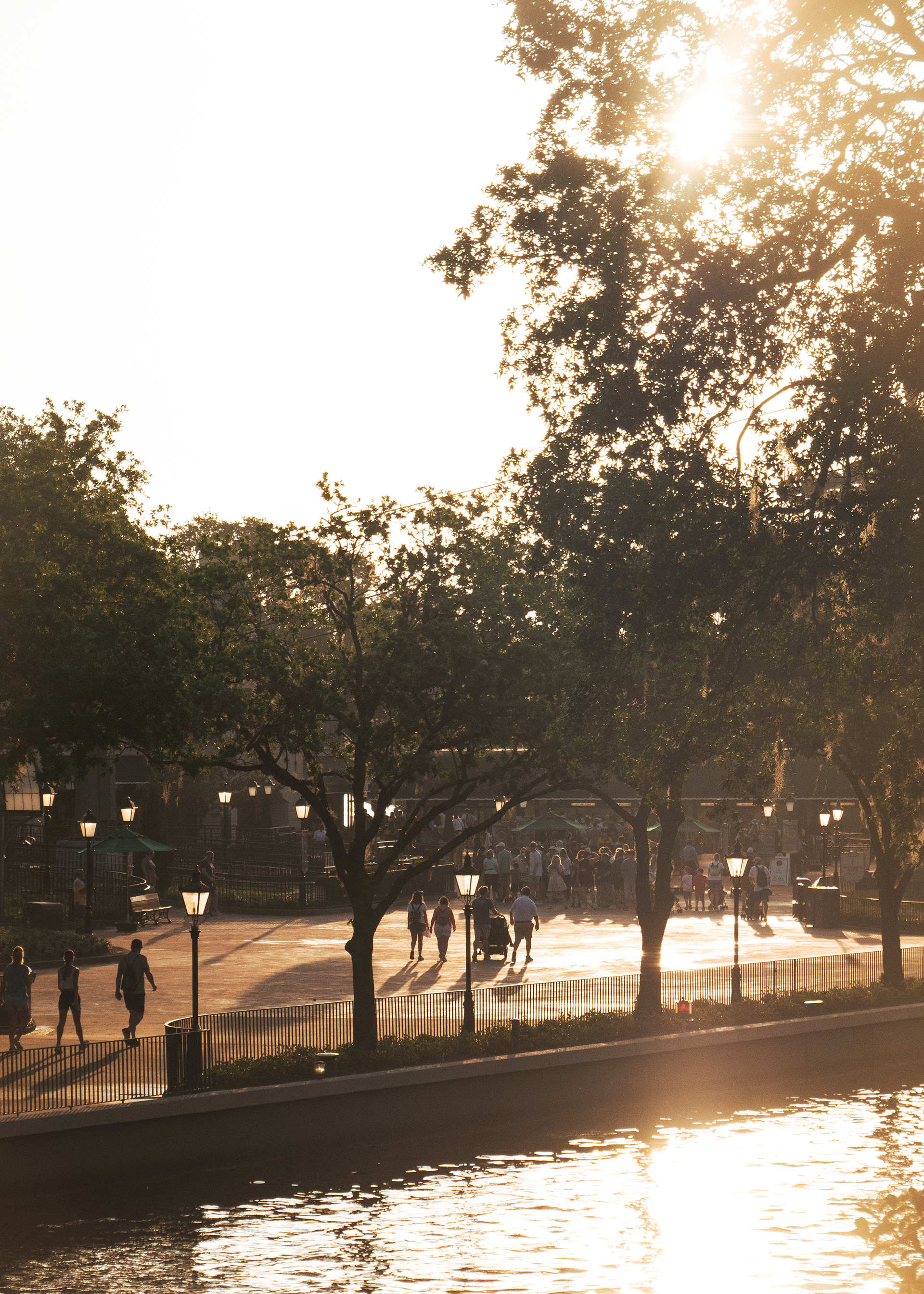 Morning Haze